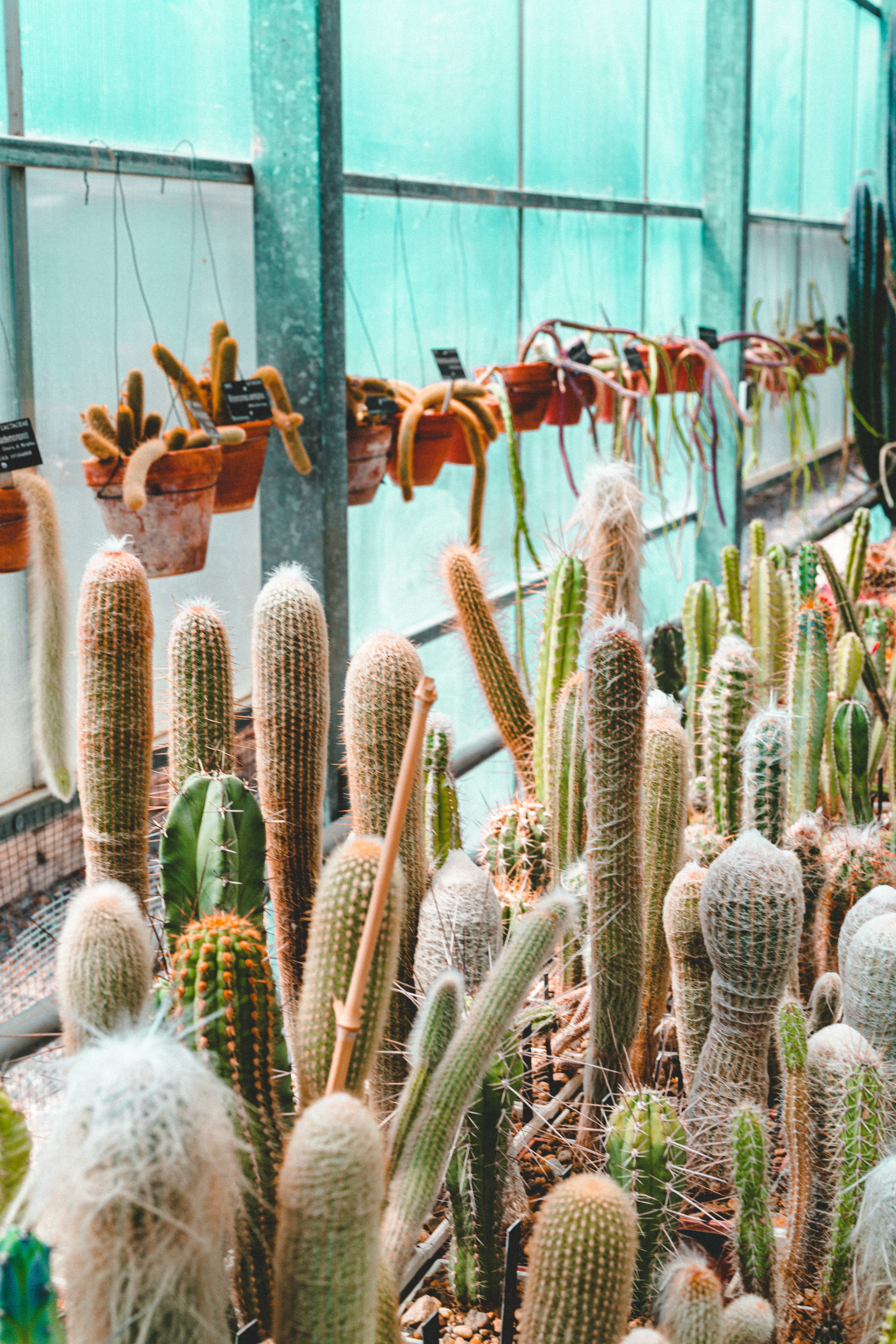 Digital product 1 file jpg