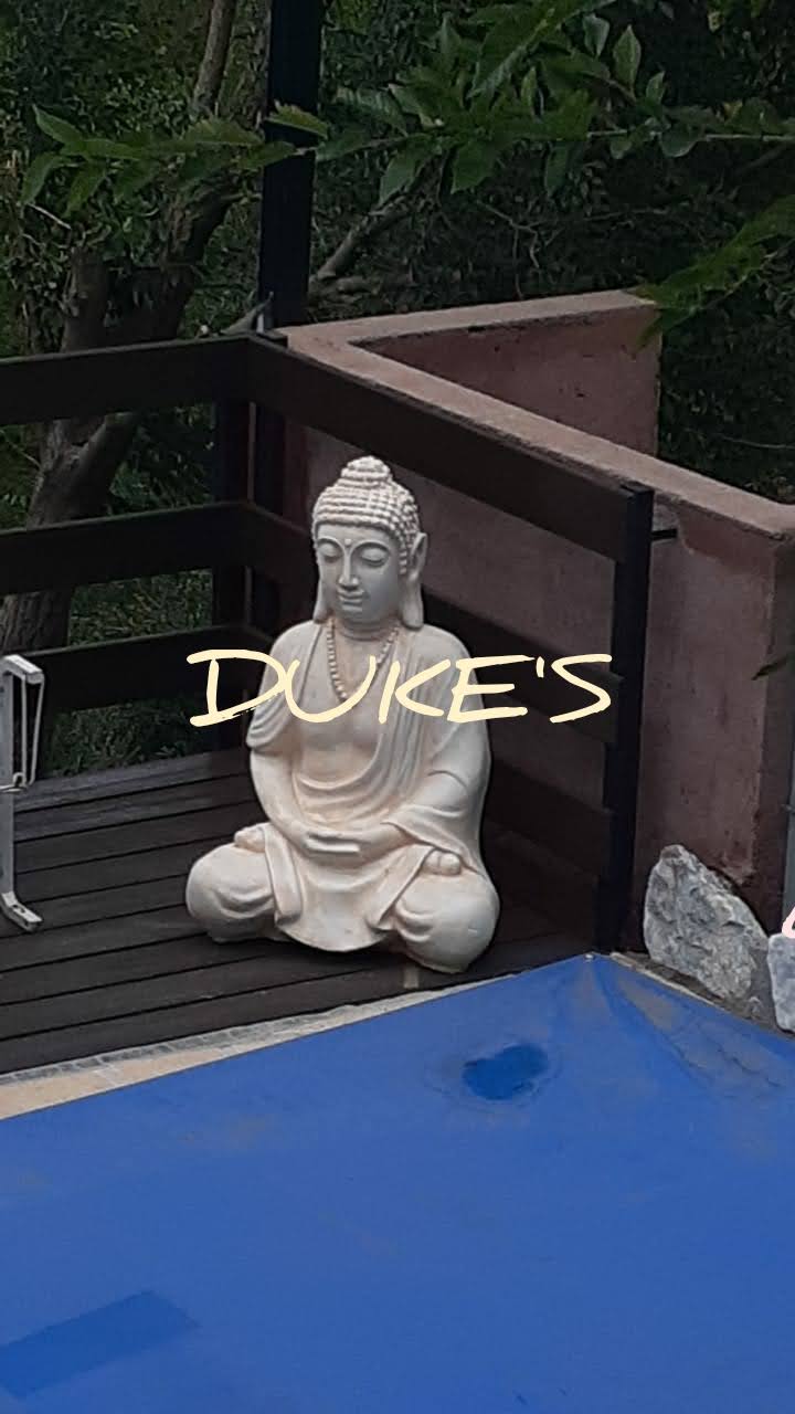 Buda grande (fibrocemento)