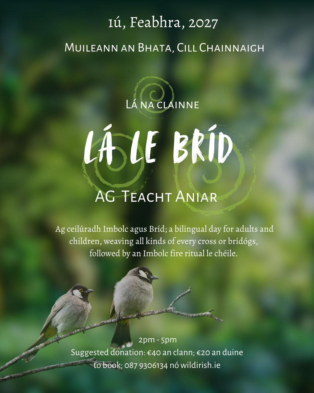 Lá le Bríd - Ticéid duine fásta