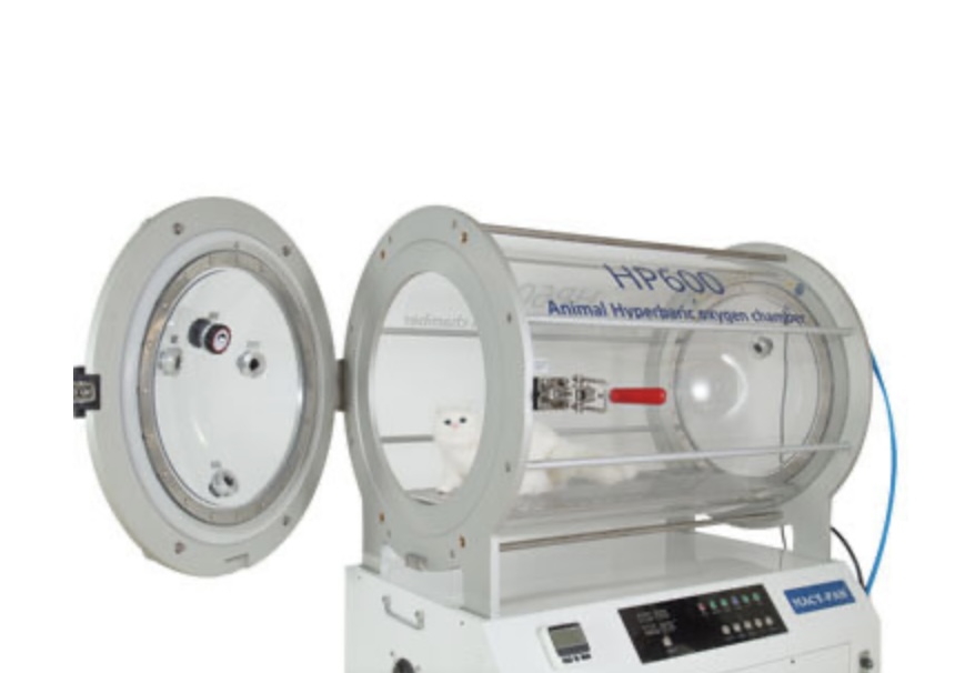 Cámara Hiperbárica para Mascotas HP600