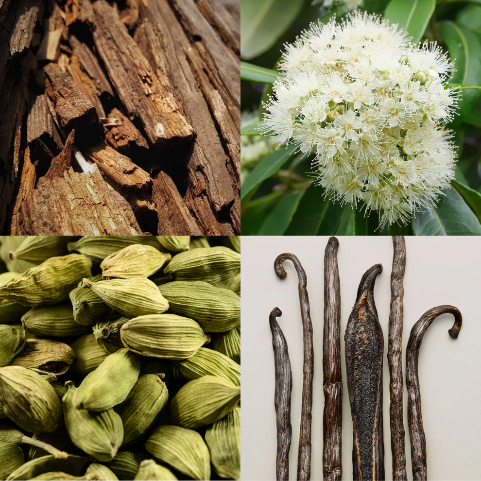 Blackened Santal Perfume oil 
