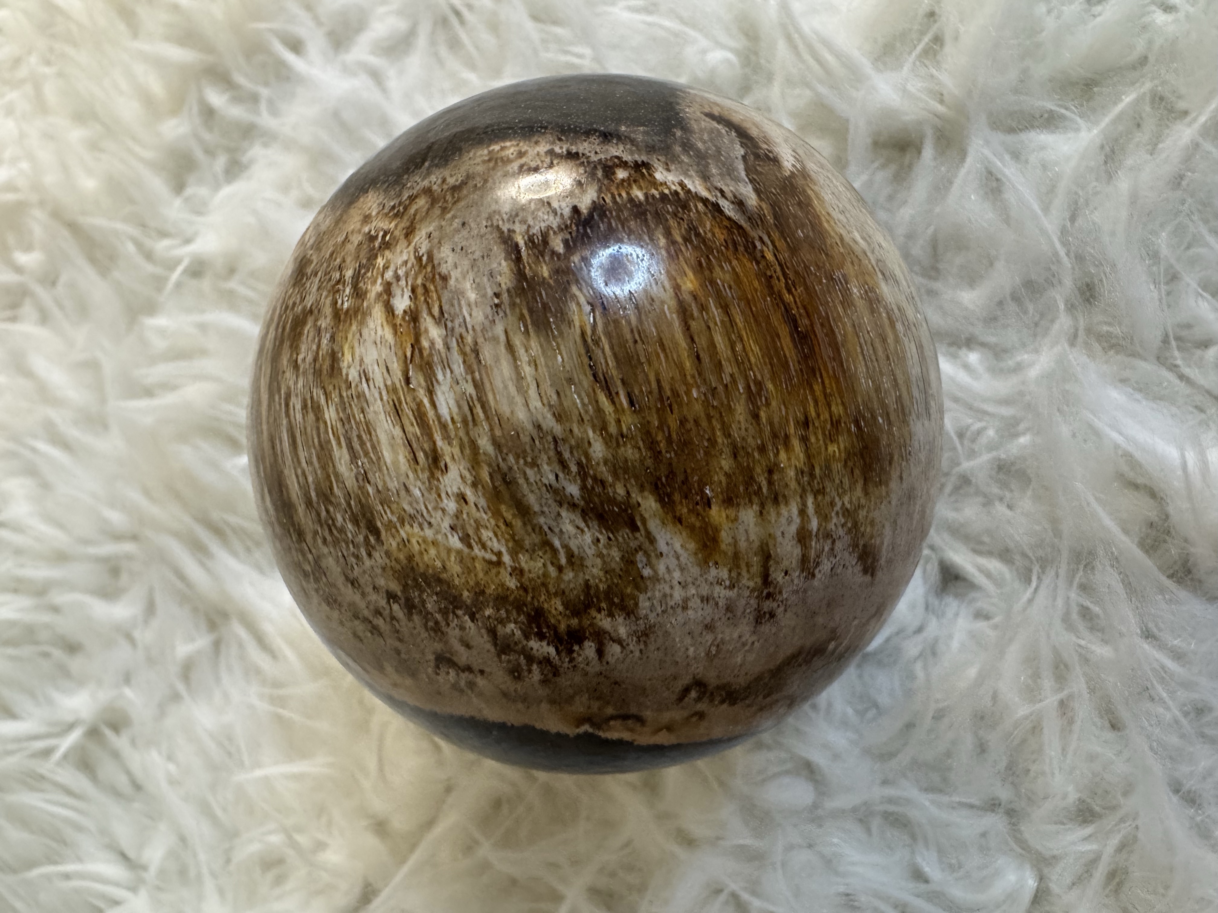 Petrified Wood Sphere 2.71 inches 