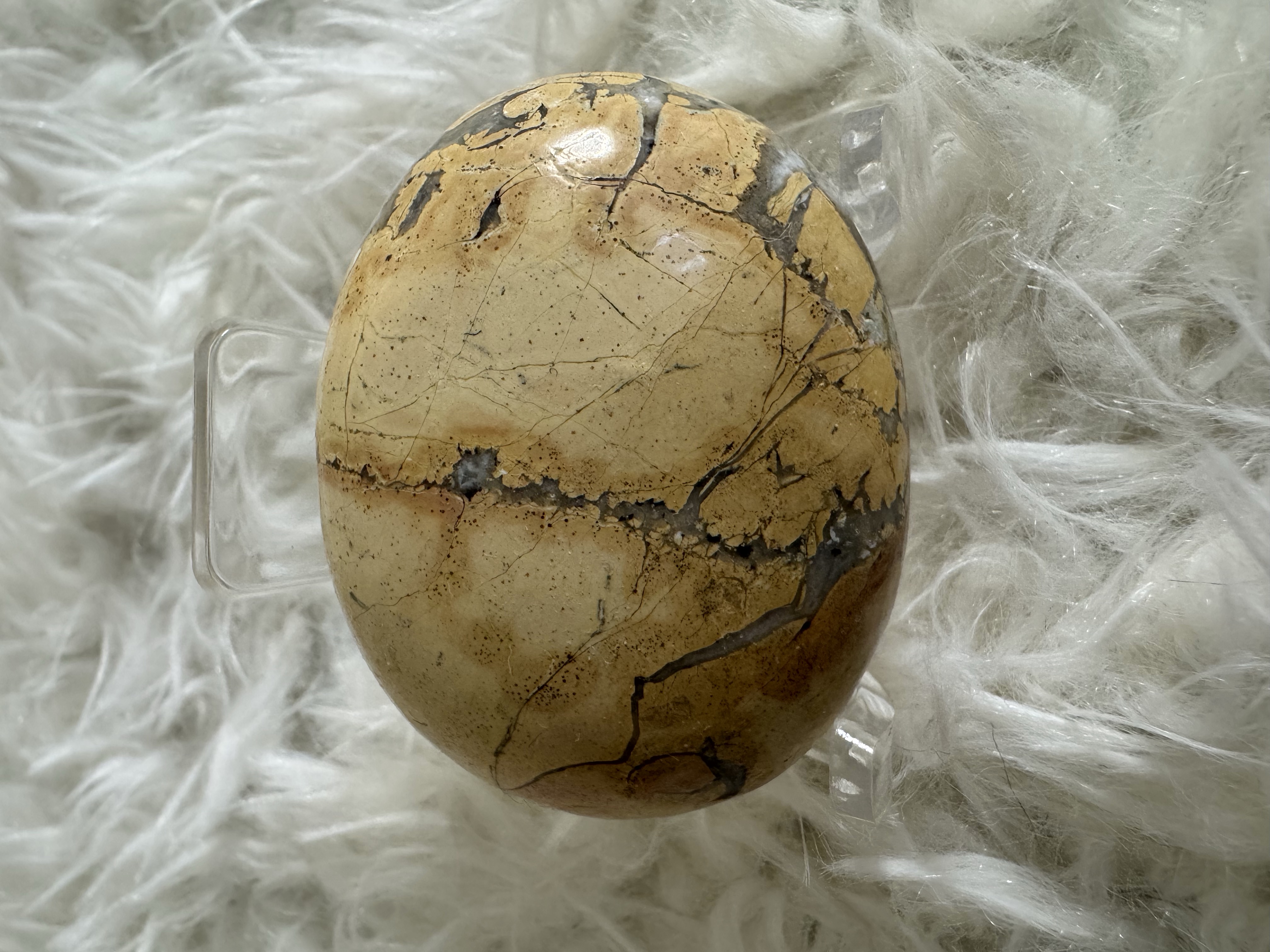 Grounded Transformation Maligano Jasper Palm Stone 