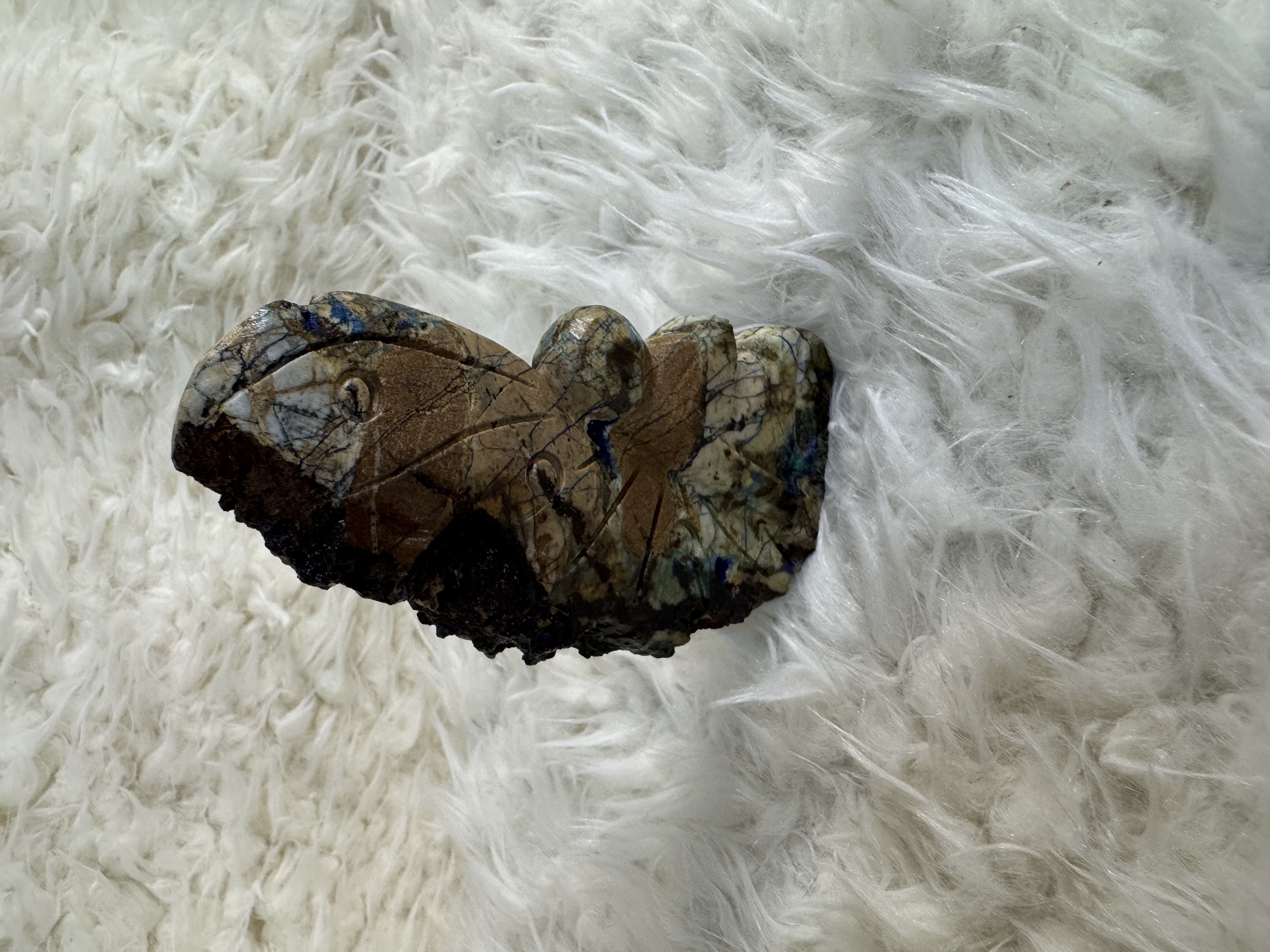 Azurite And Chrysocolla in Petrified Wood Faerie 