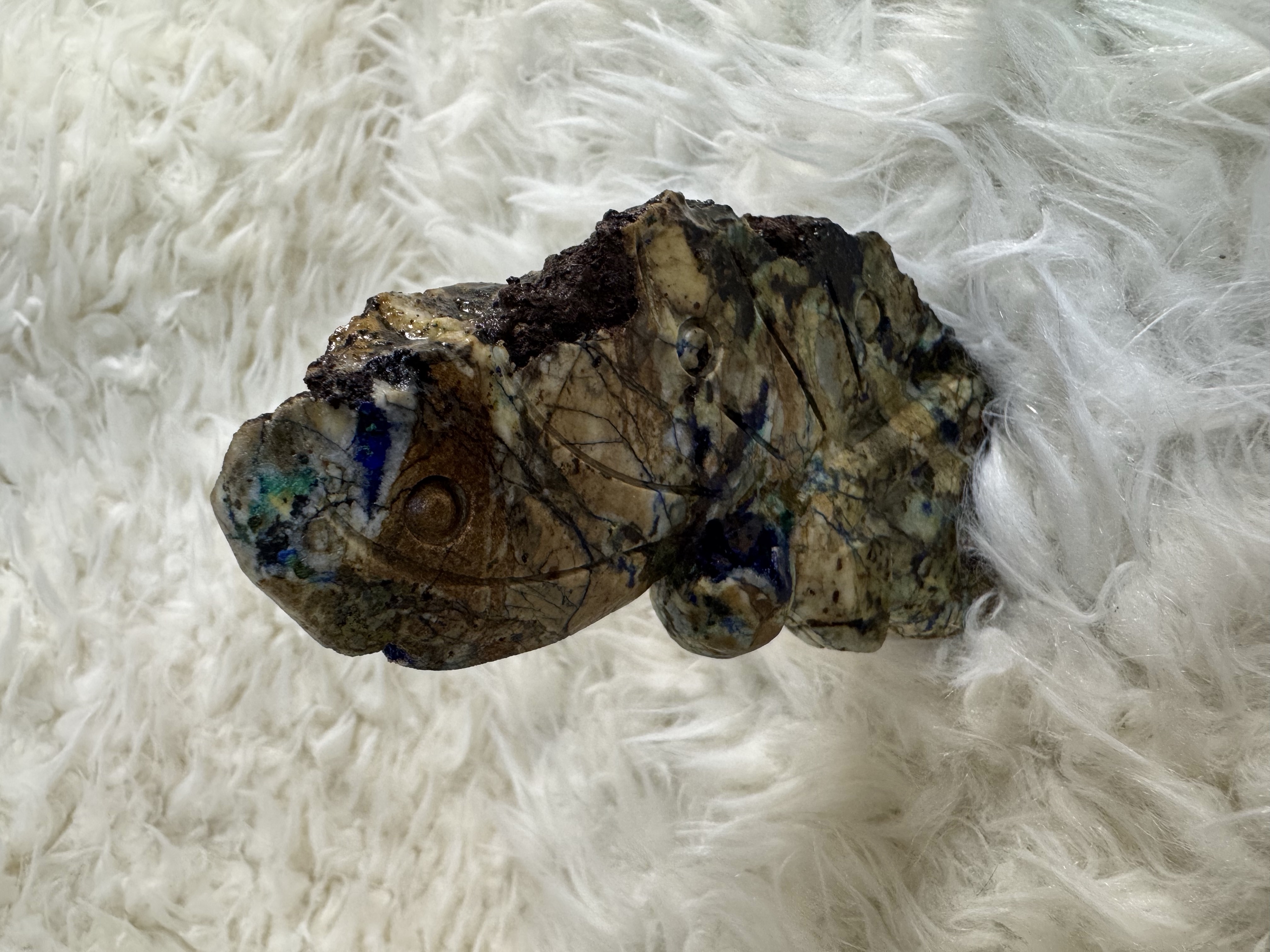 Azurite And Chrysocolla in Petrified Wood Faerie 