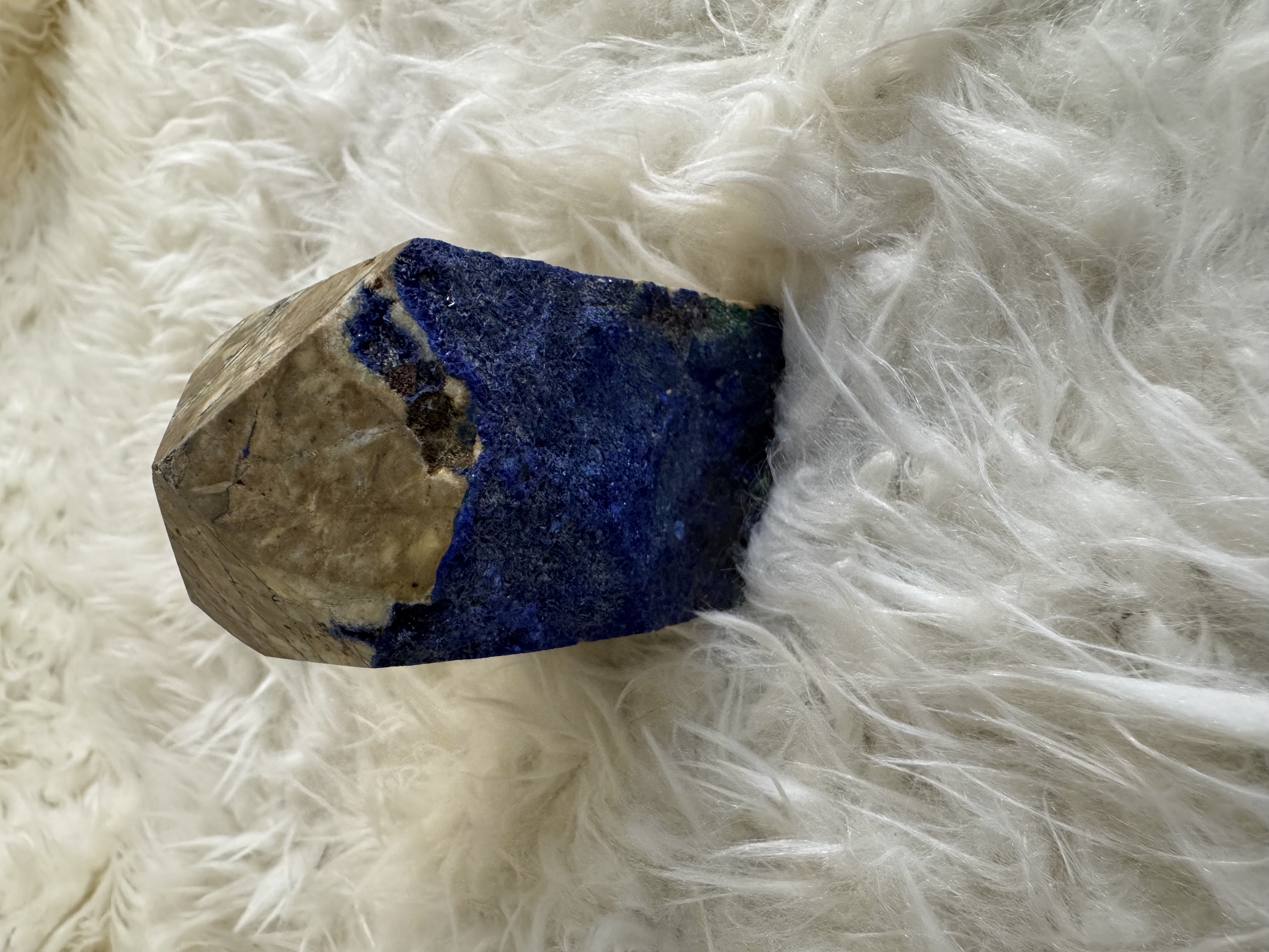 Ancient Priestess Azurite and Chrysocolla in Petrified Wood Obelisk