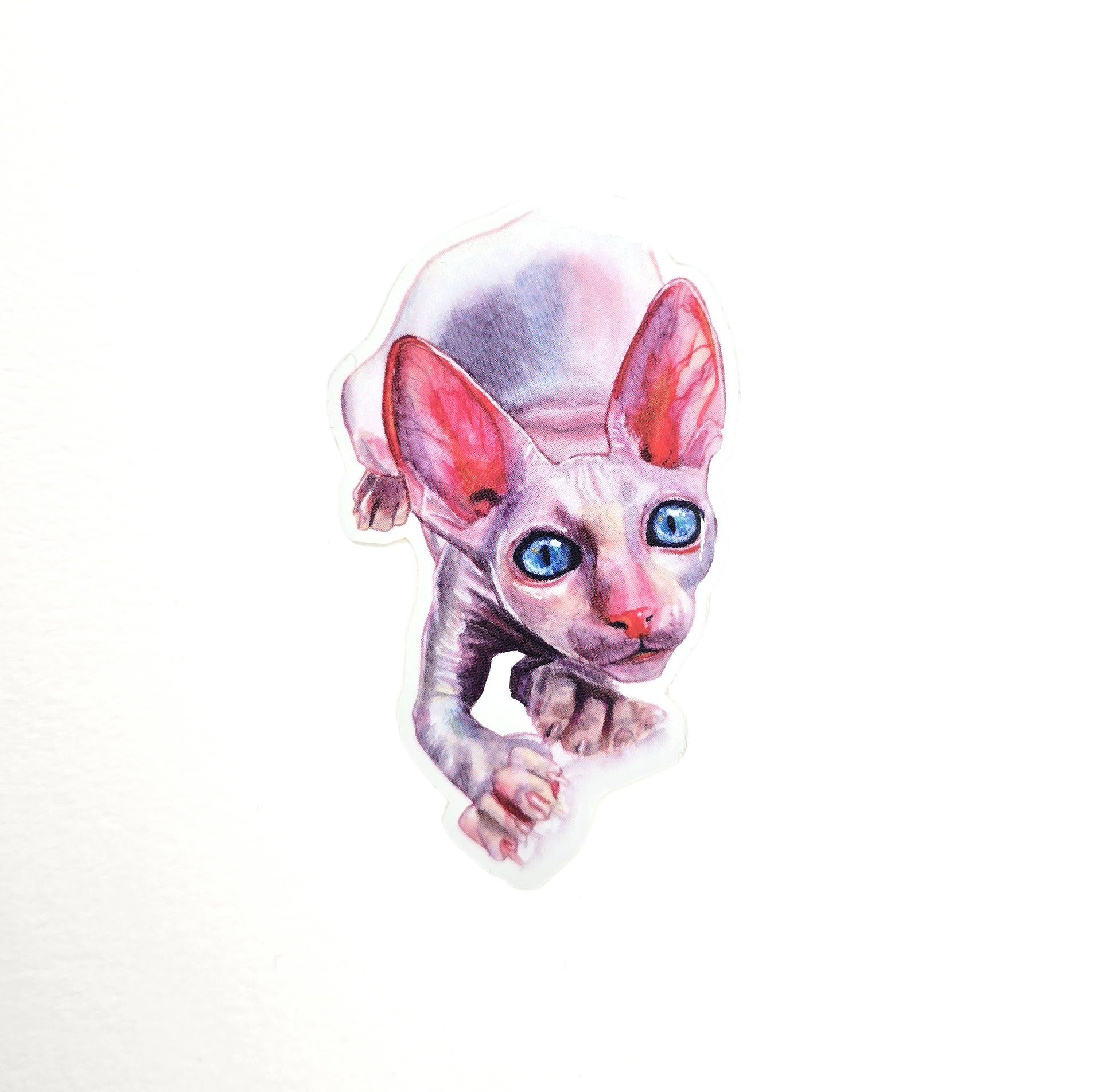Sphynx - Sticker