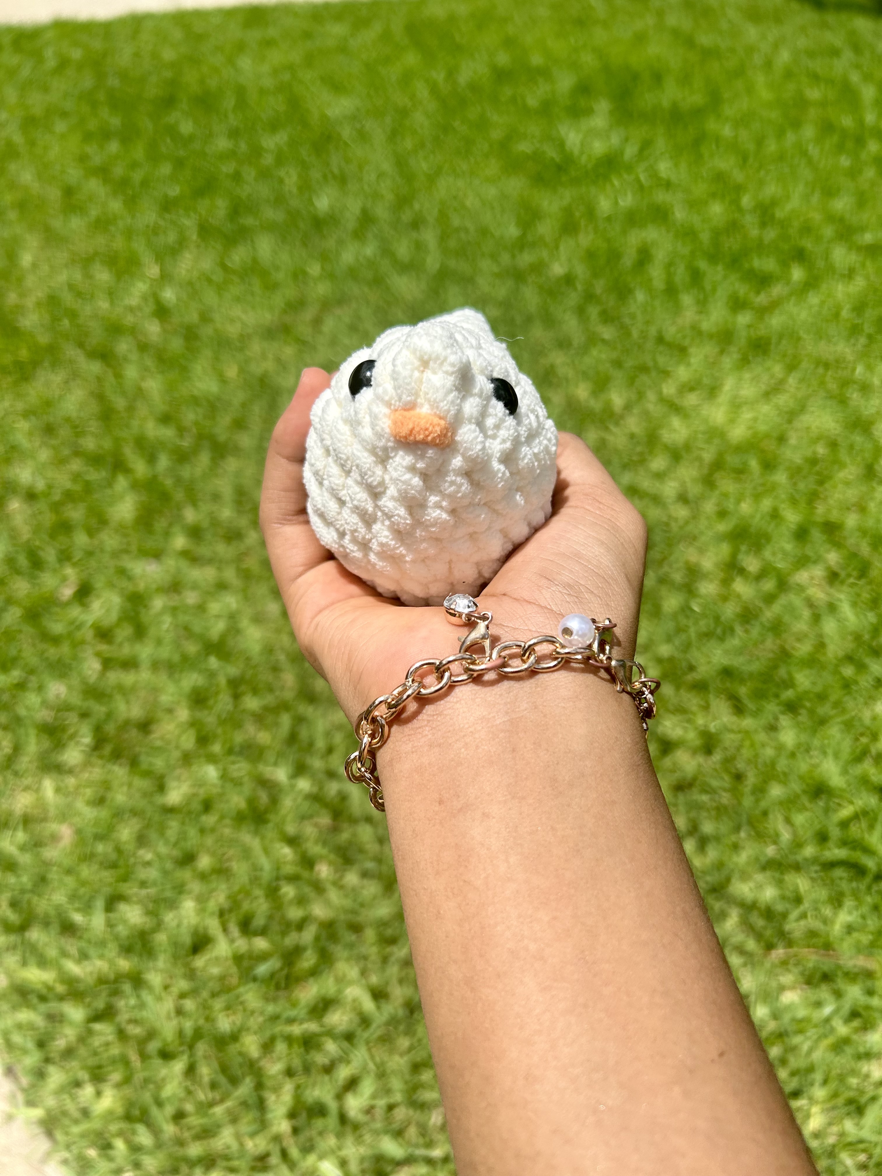 Mini chicken 