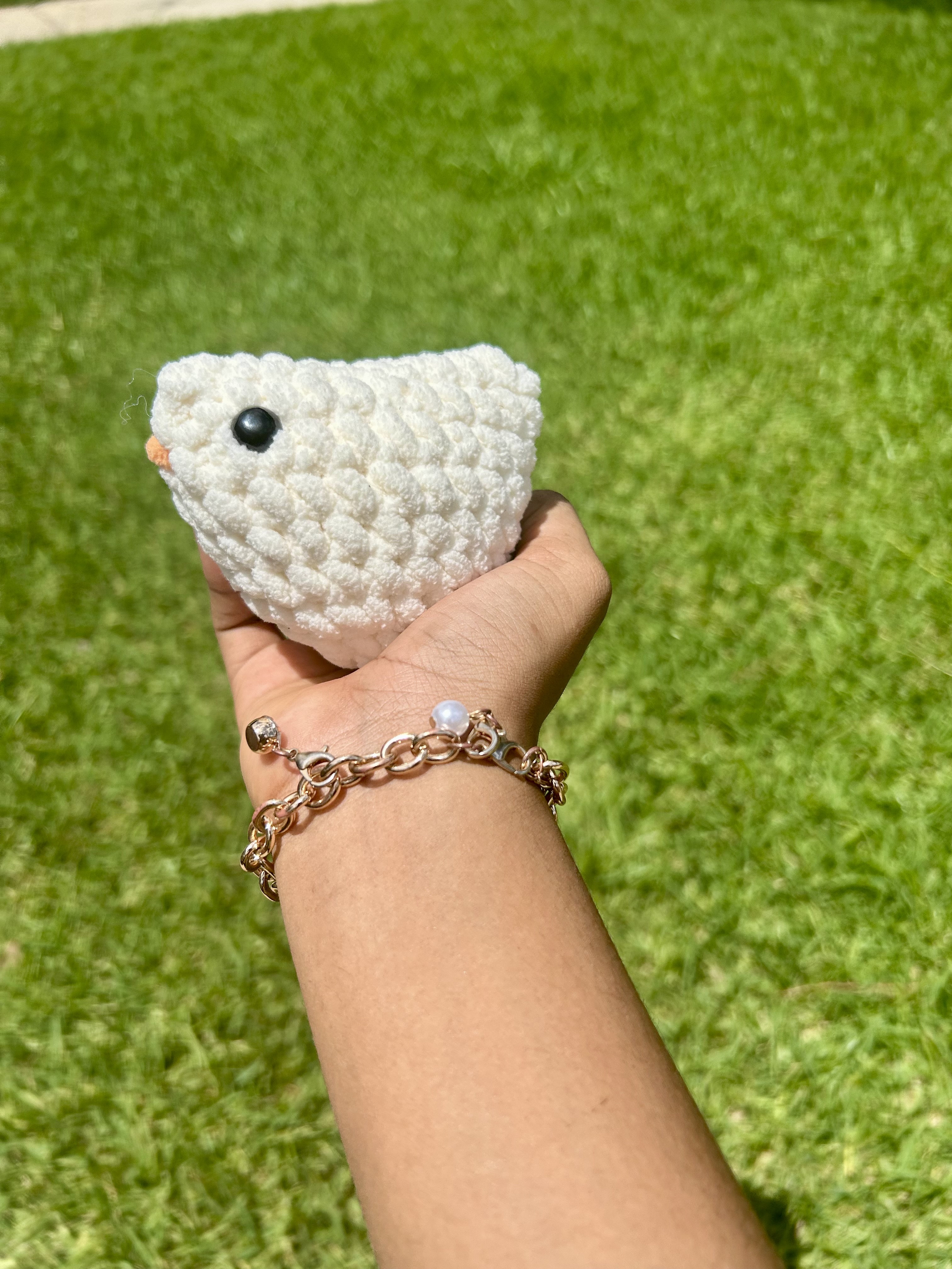 Mini chicken 