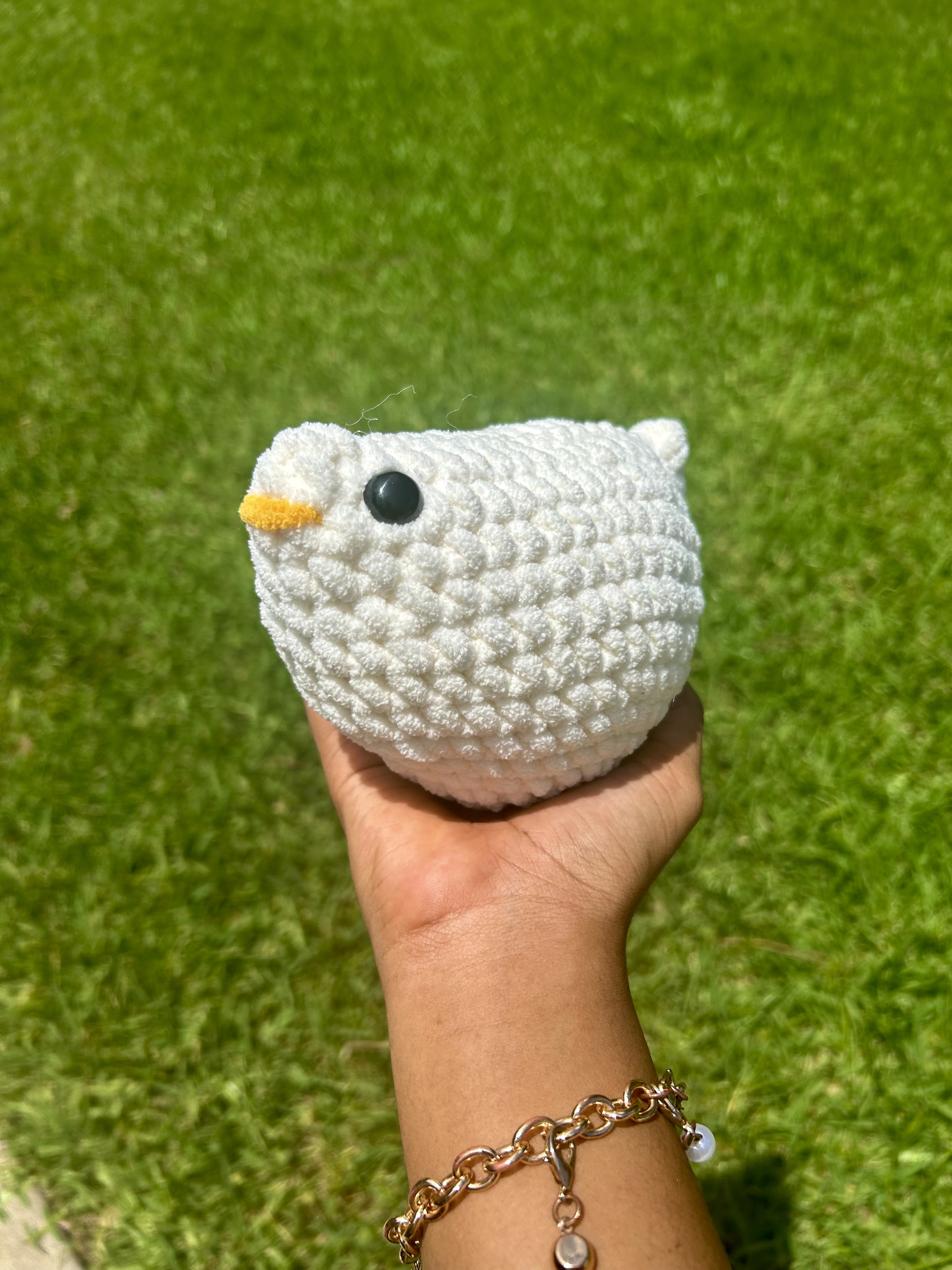 Mini chicken 