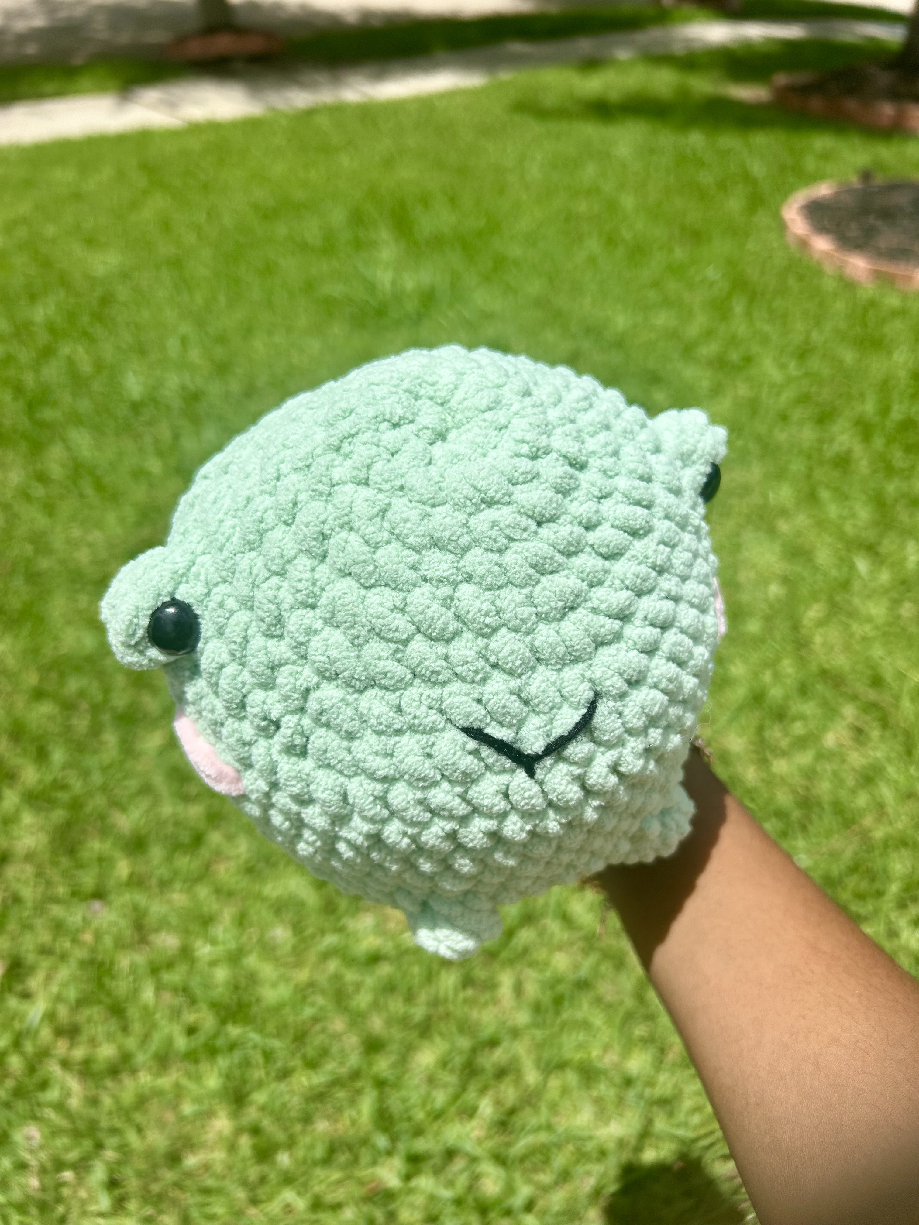 Jumbo froggie