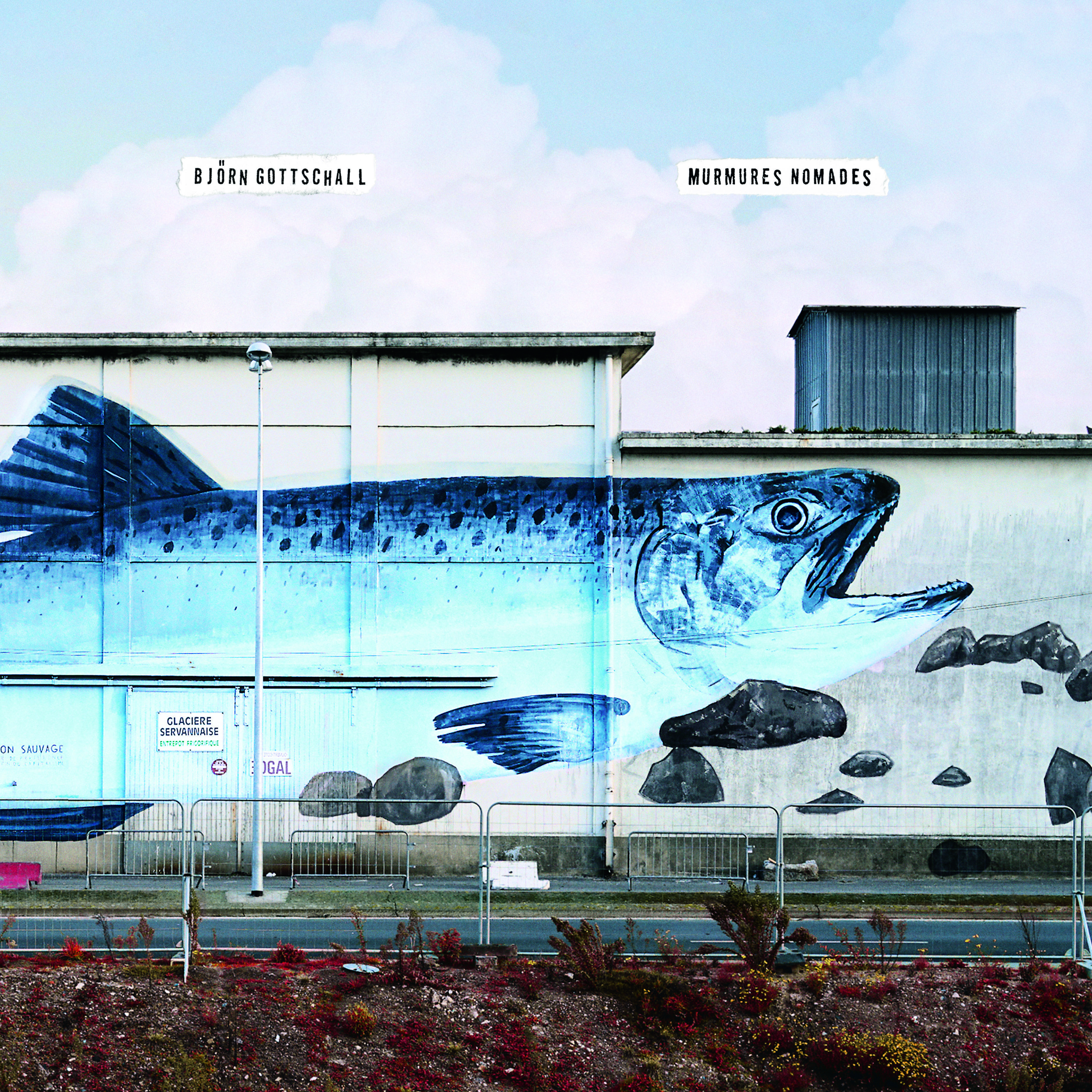 Murmures nomades - Disque vinyle LP