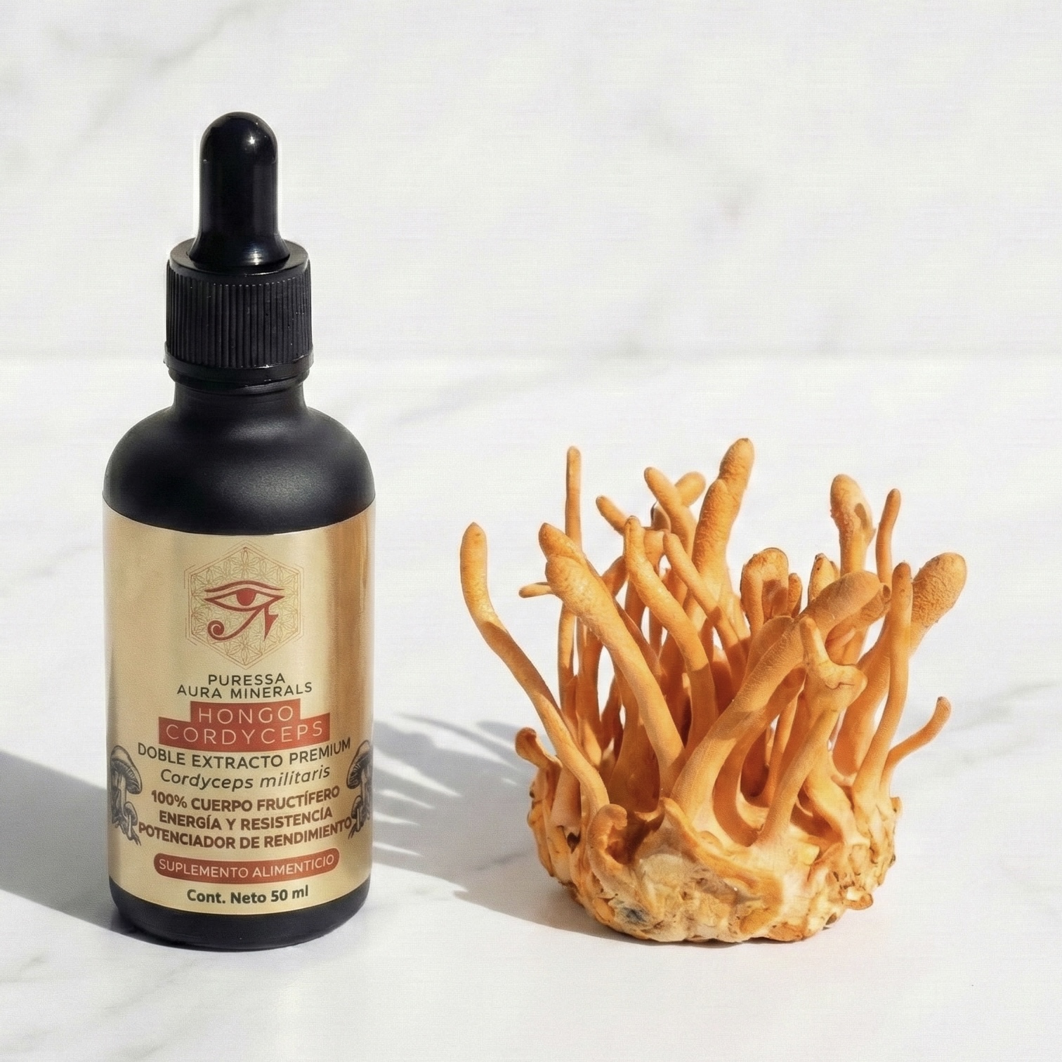 Hongo Cordyceps Doble Extracto - 50 ml