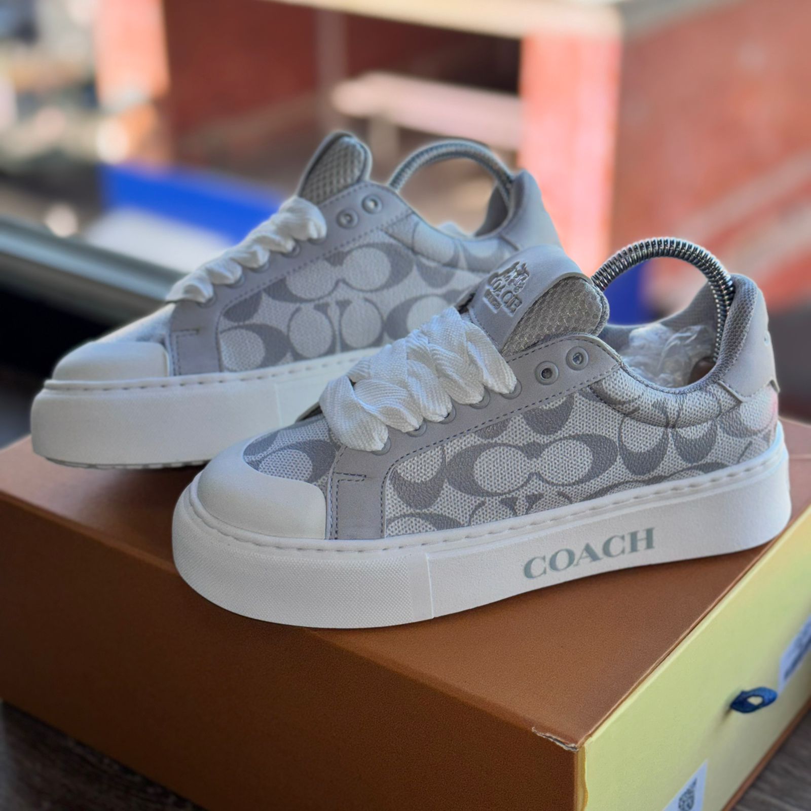 Coach Signature Dama