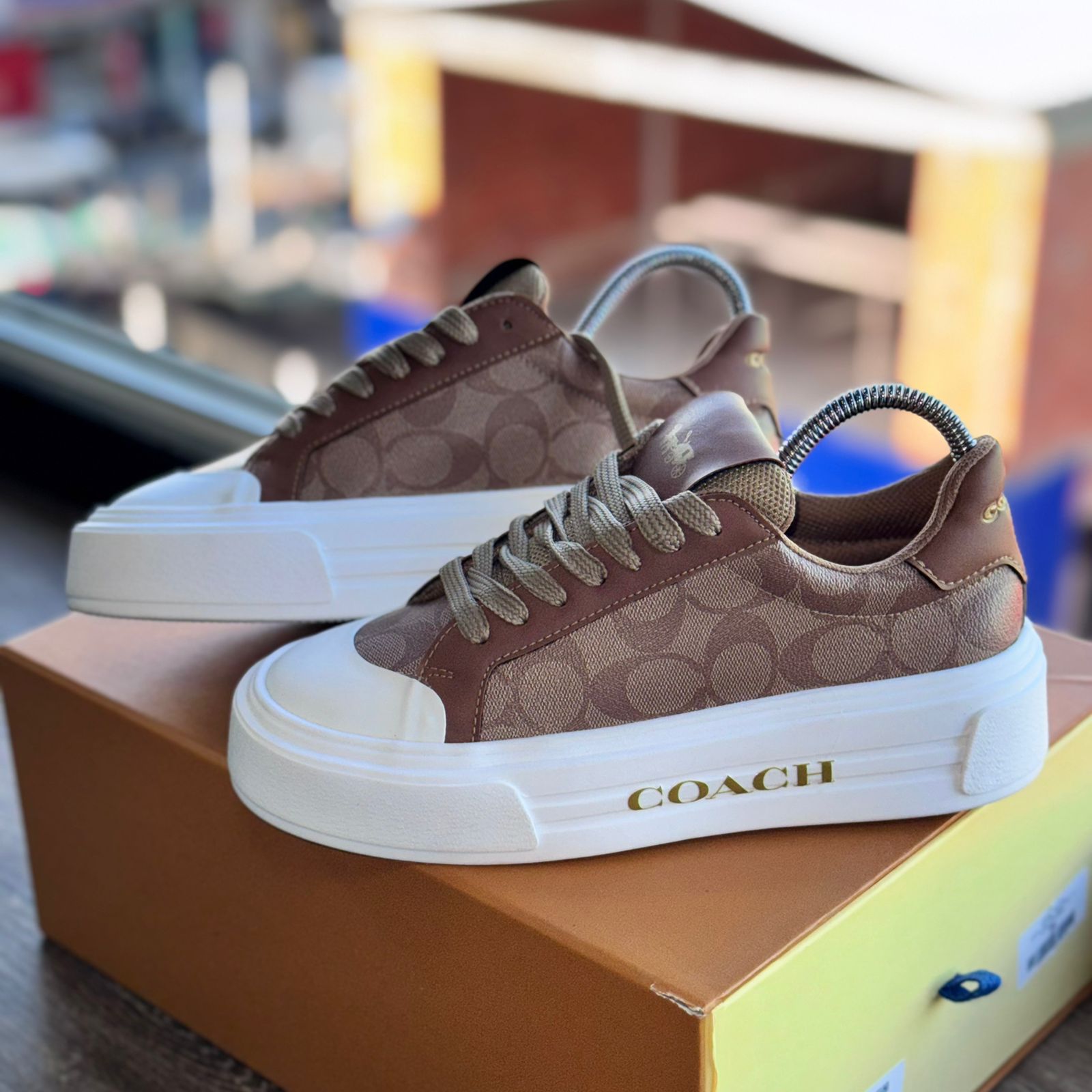 Coach Signature Dama