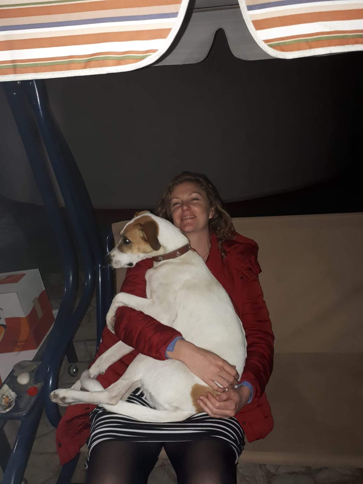 Loving Pet Sitting - 2 hours