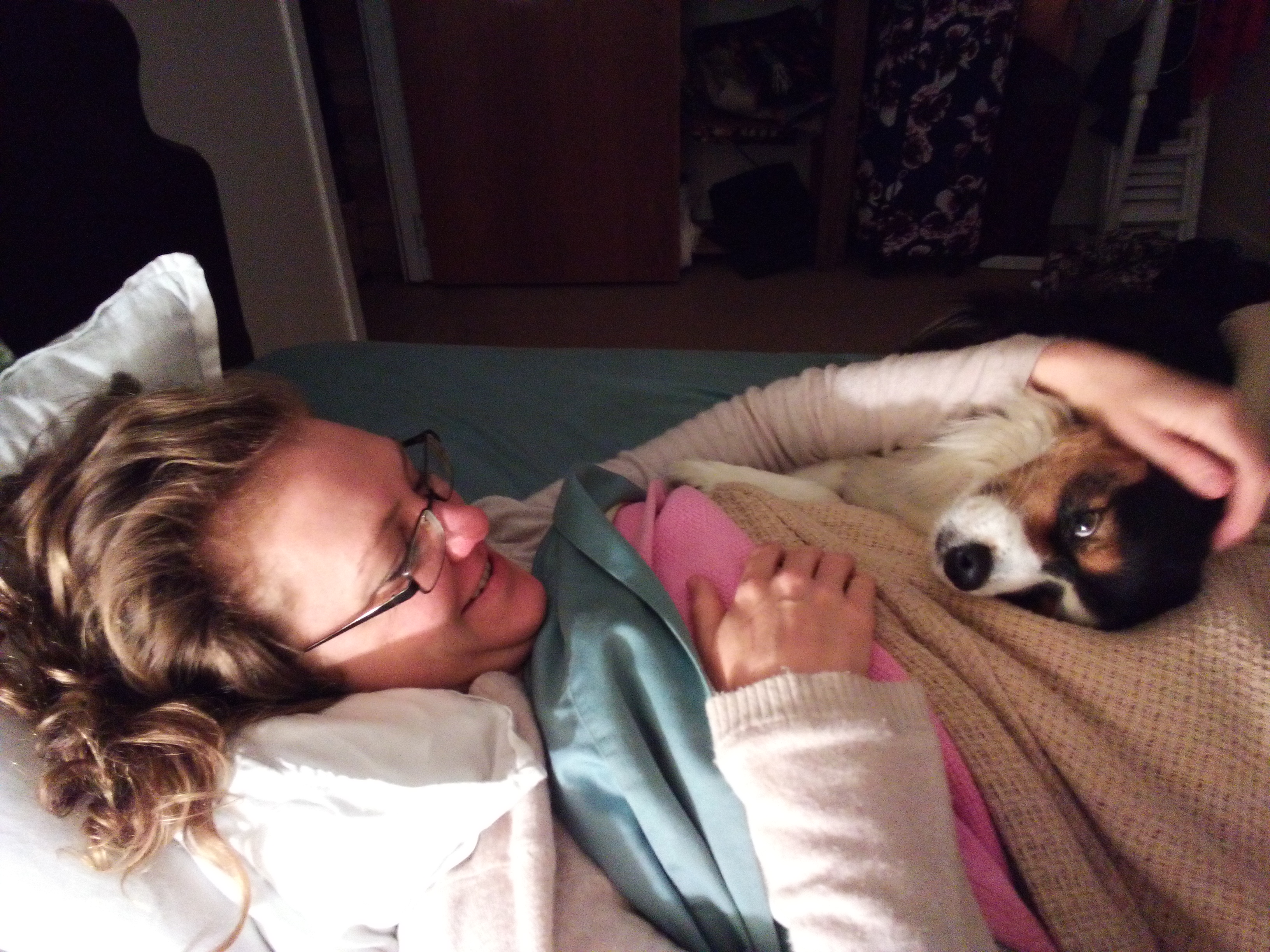 Weekly pet sitting - in your home