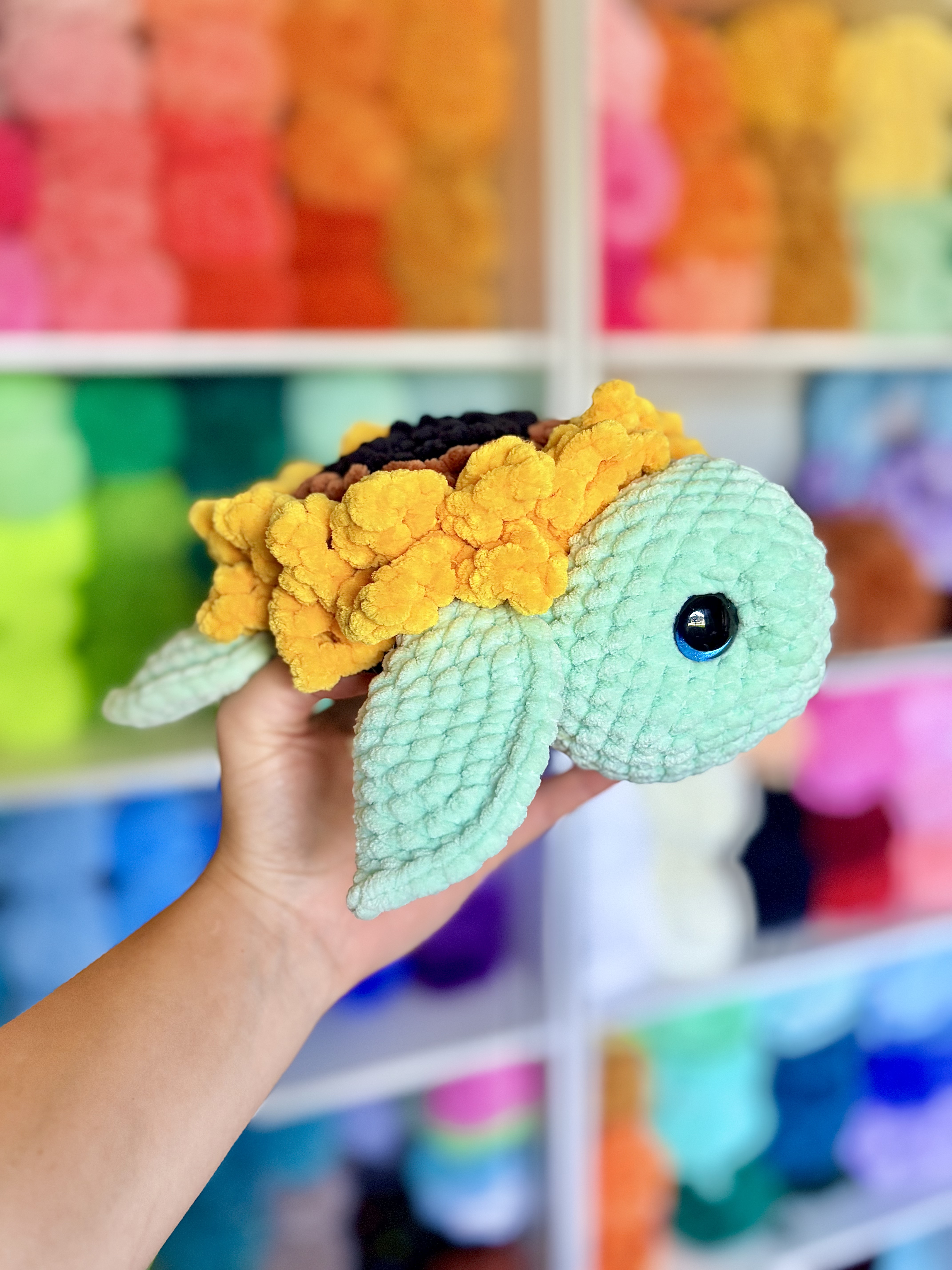 Sunflower Sea Turtle