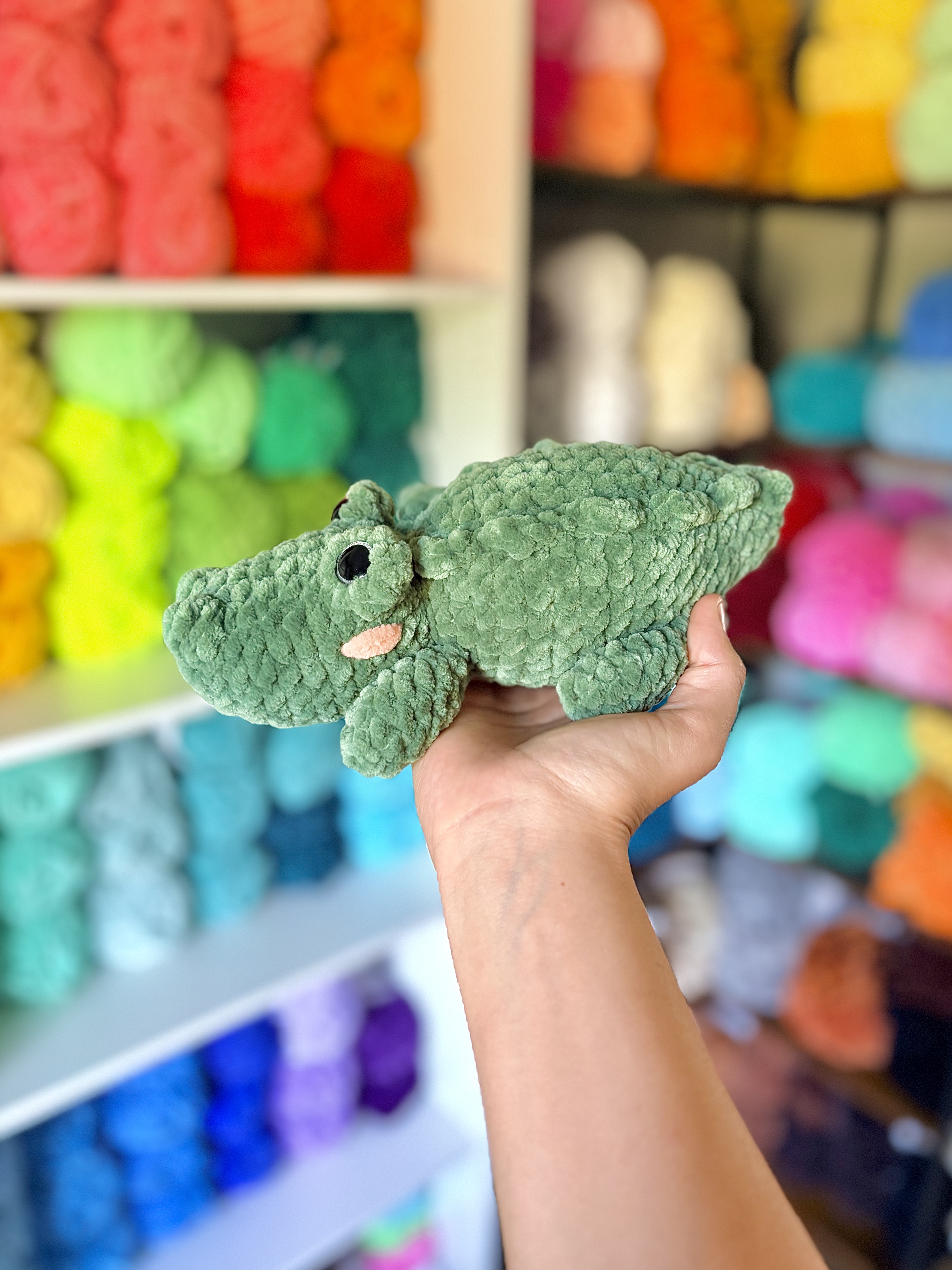 Alligator