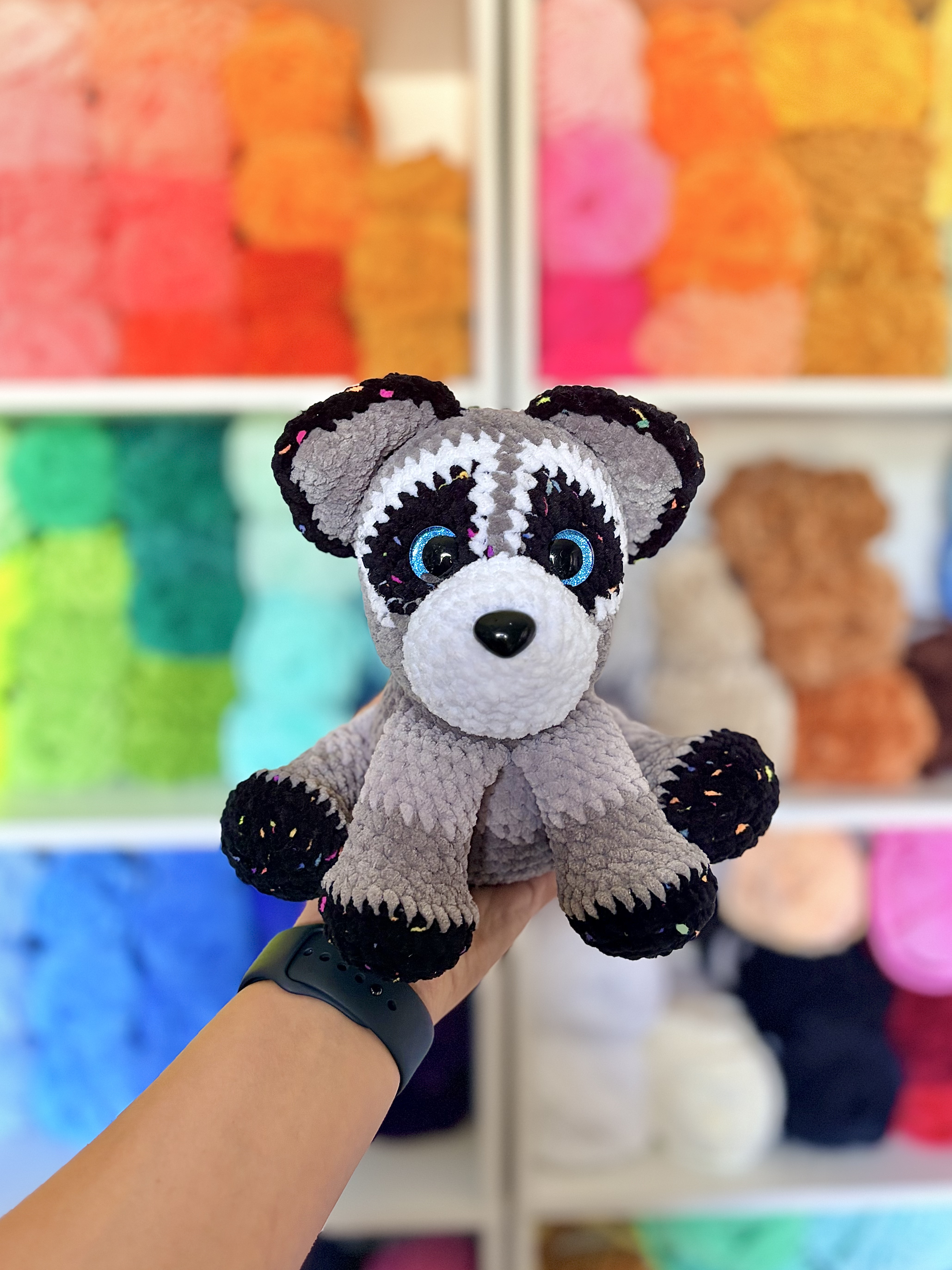 Raccoon