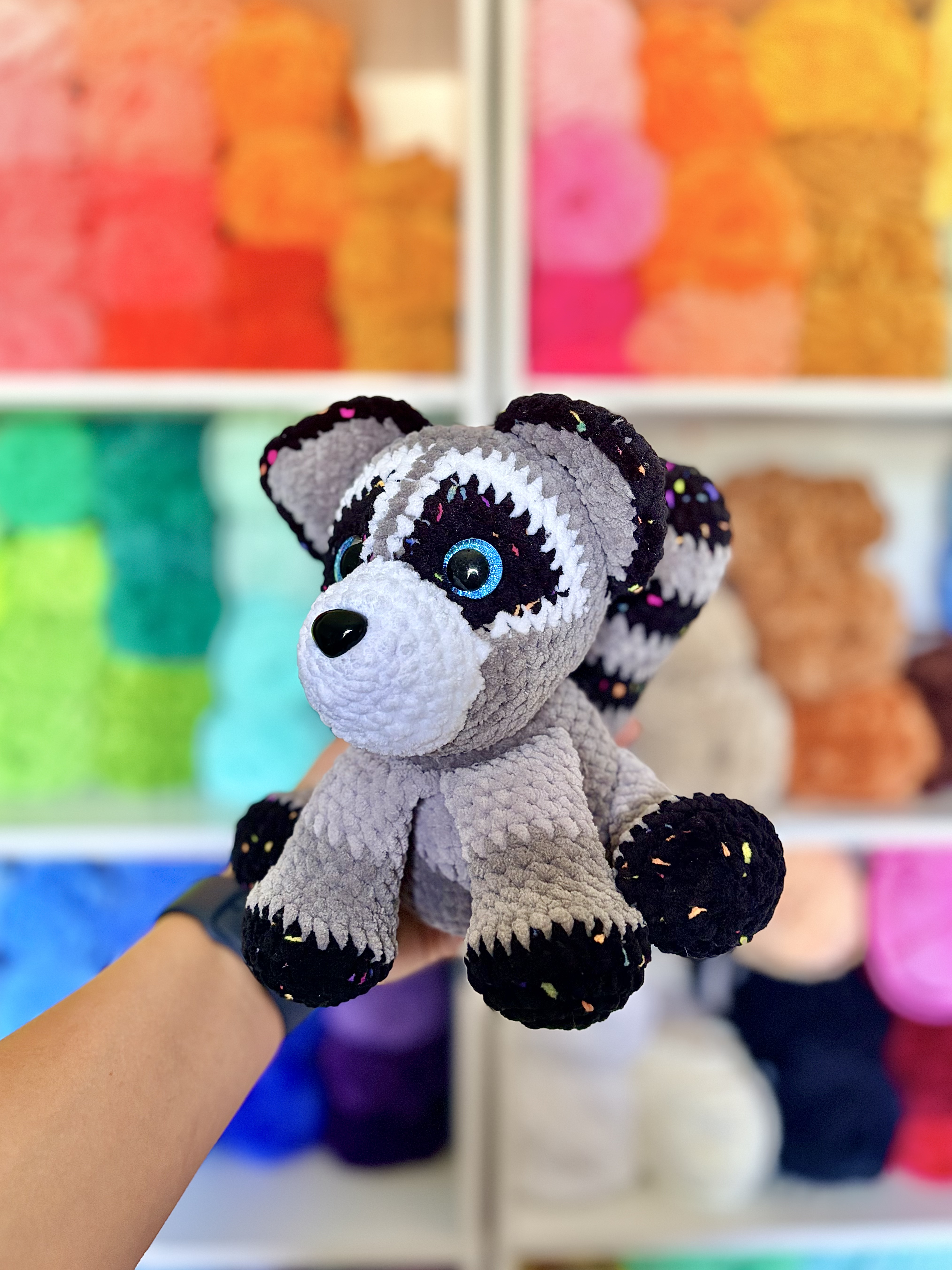 Raccoon