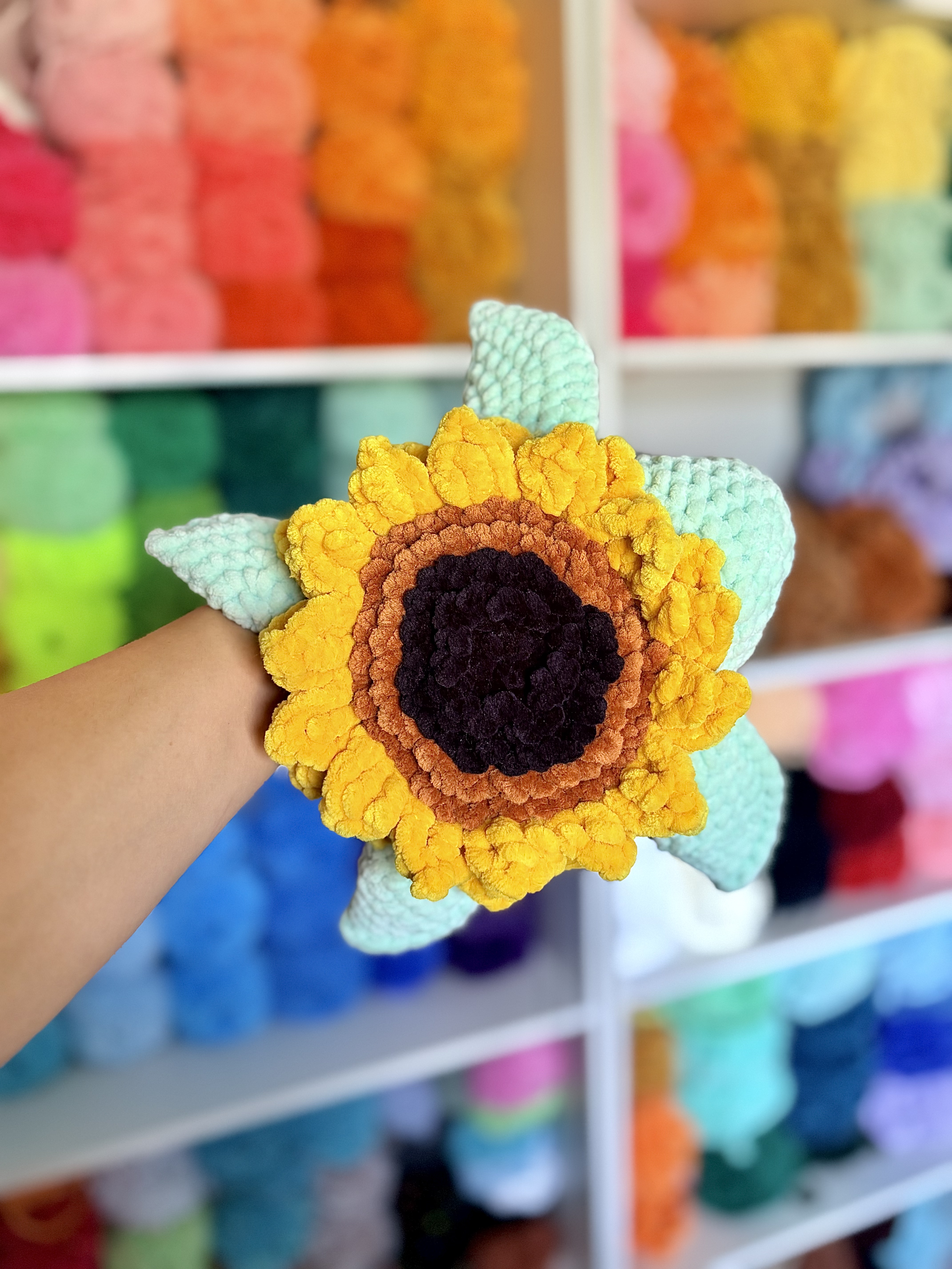 Sunflower Sea Turtle