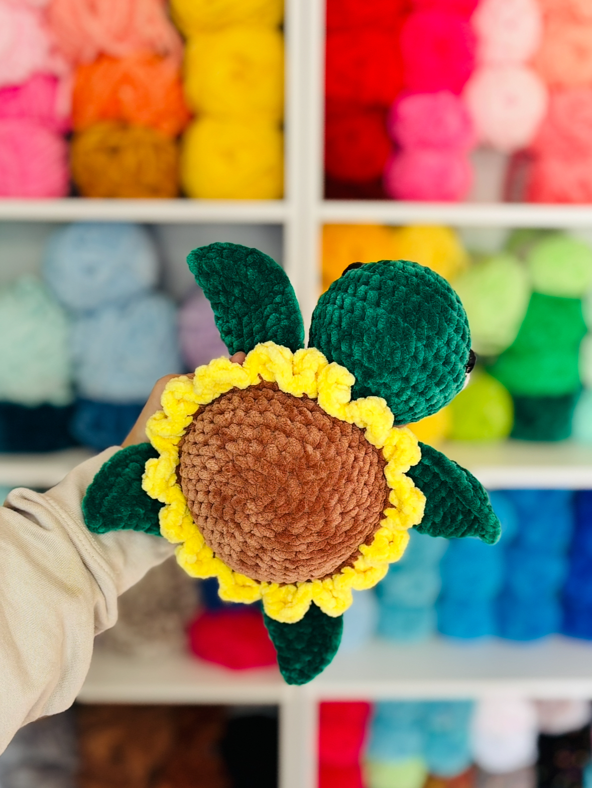 Sunflower Sea Turtle