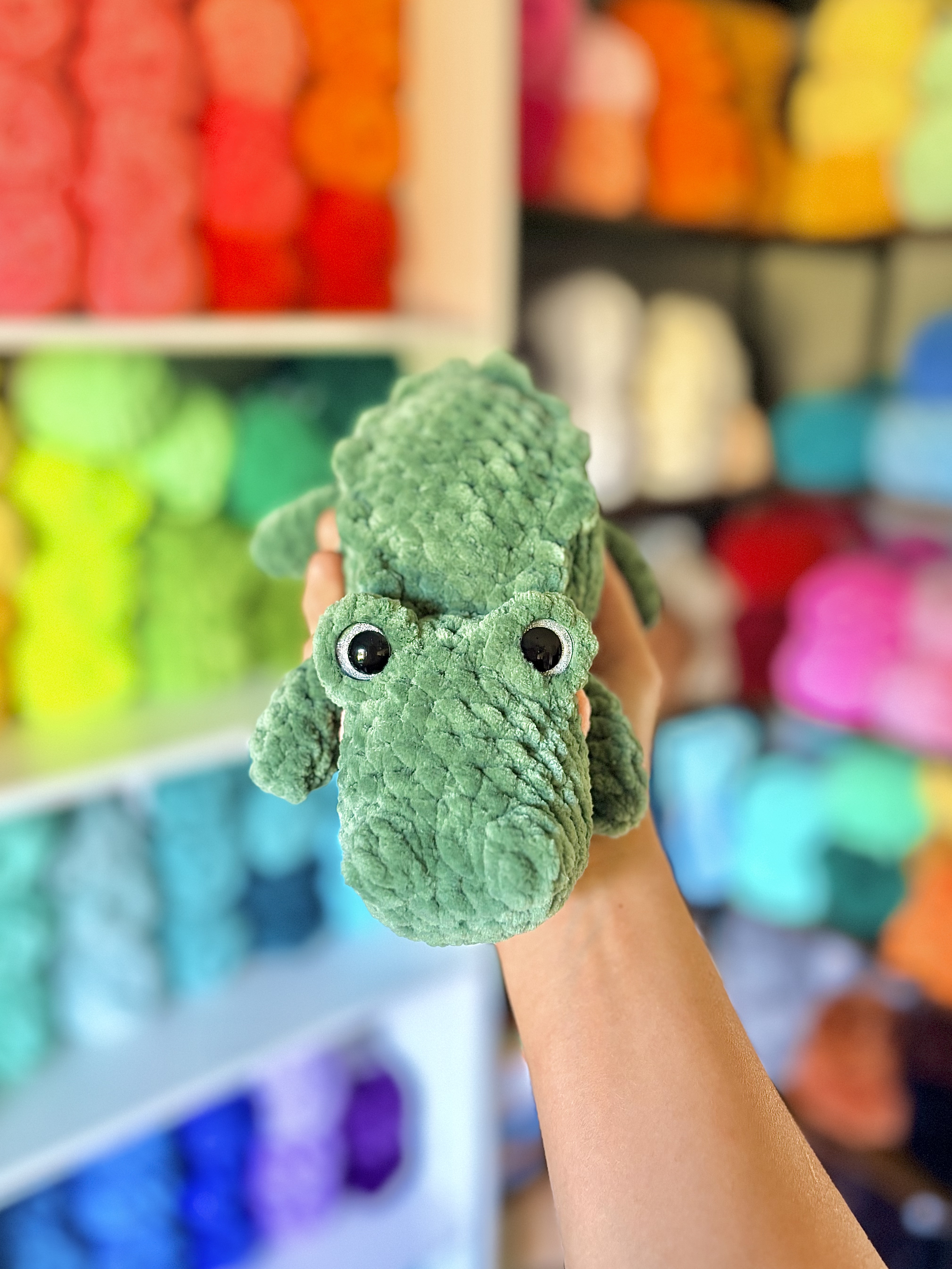 Alligator