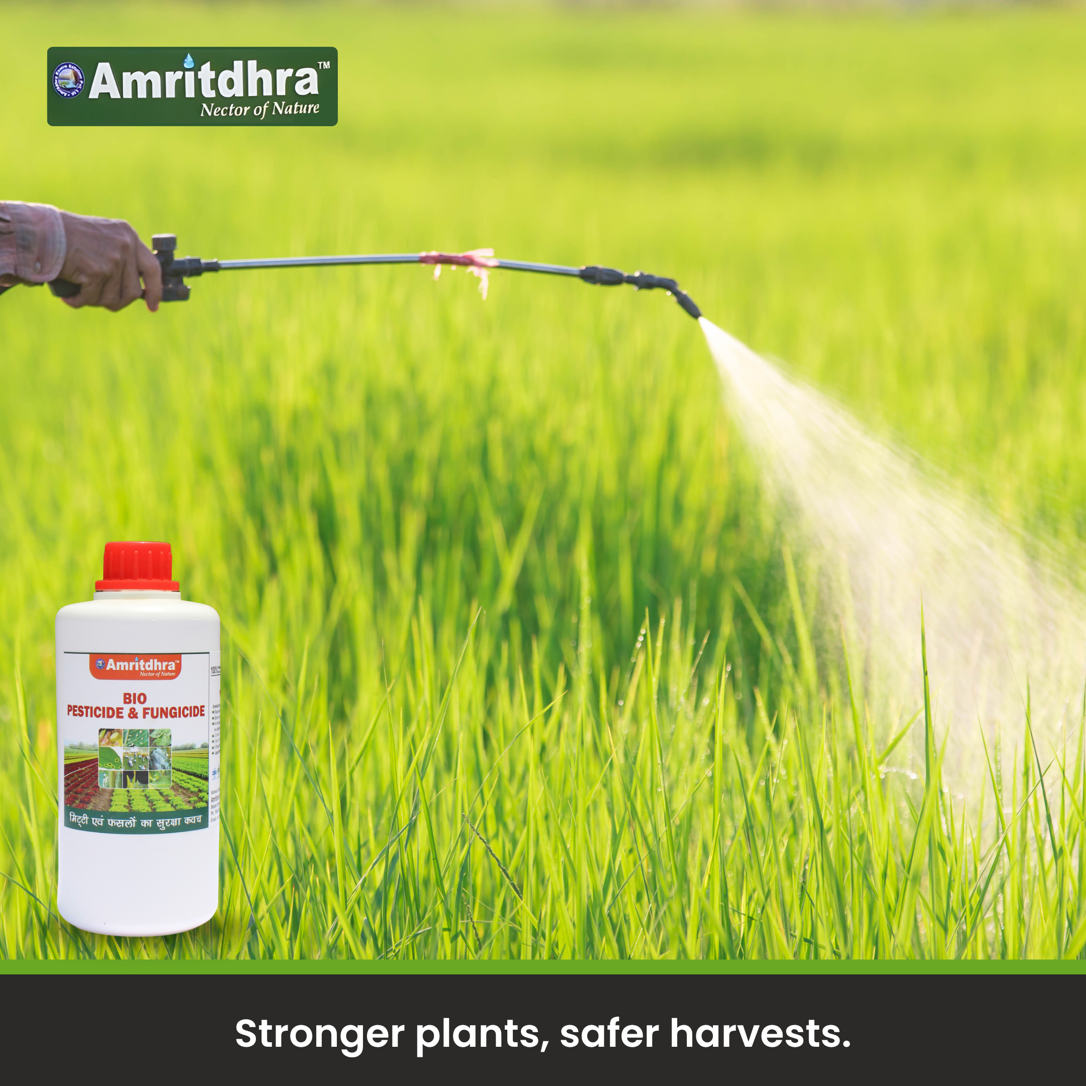 Amritdhra Bio Pesticide & Fungicide
