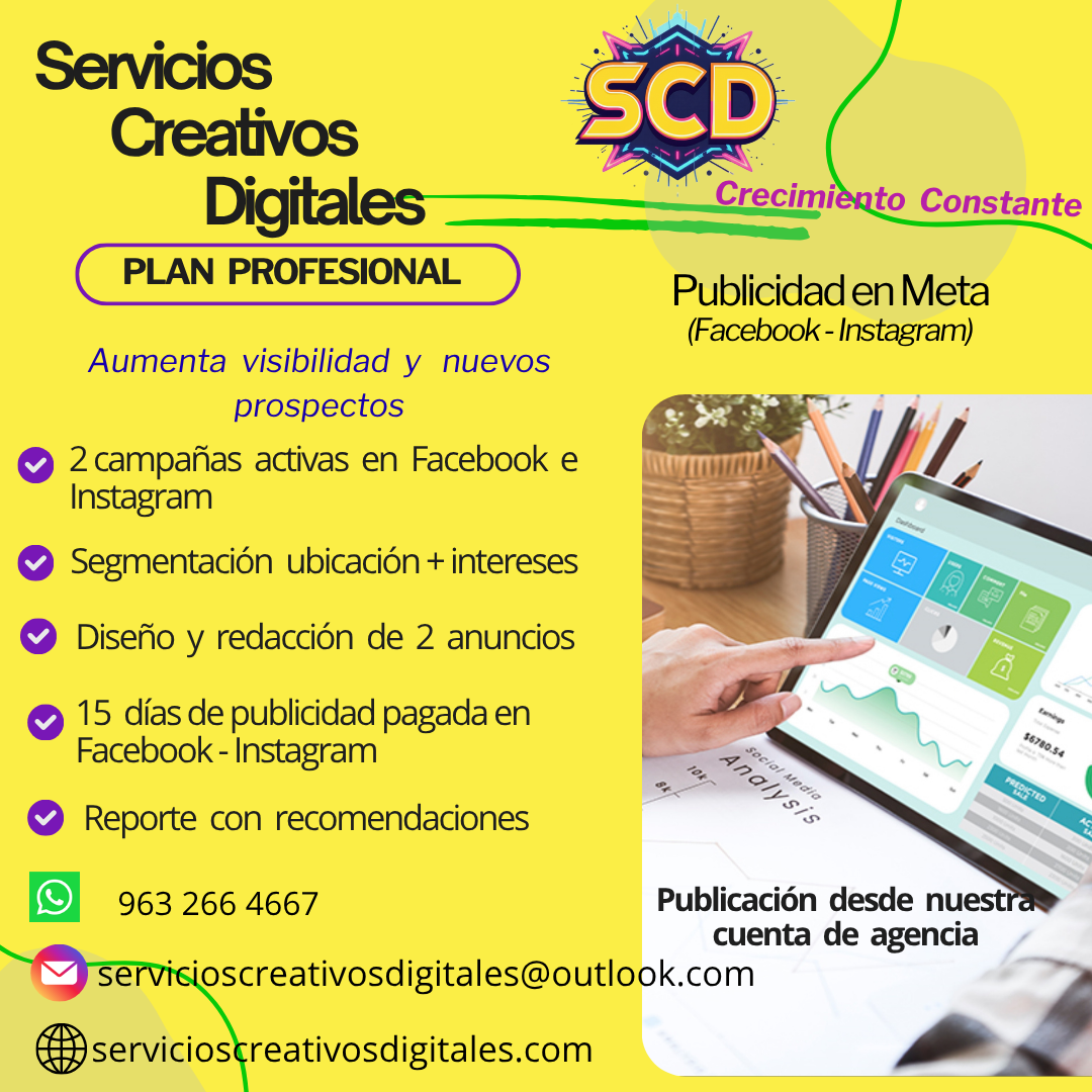 Plan Profesional de Publicidad