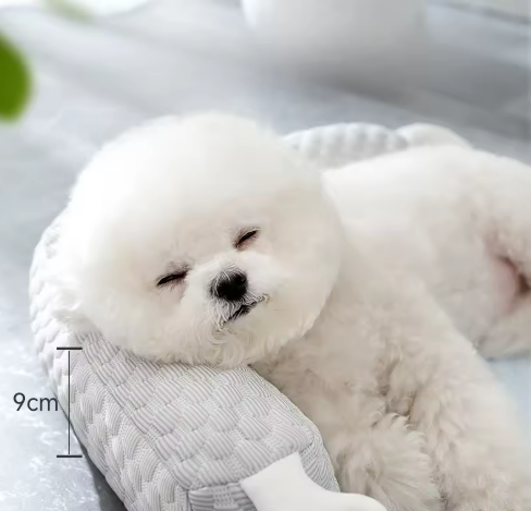 Comfortable Pet Bed with Pillow