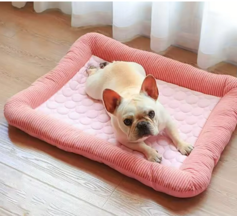 Plush Dog Bed