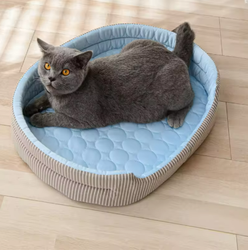Comfortable Cat Bed