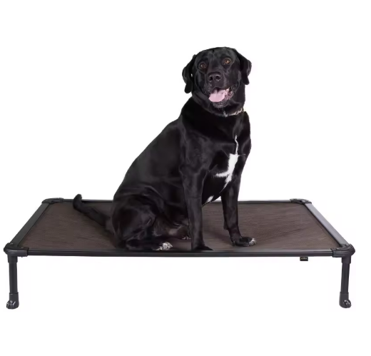 Elevated Dog Bed