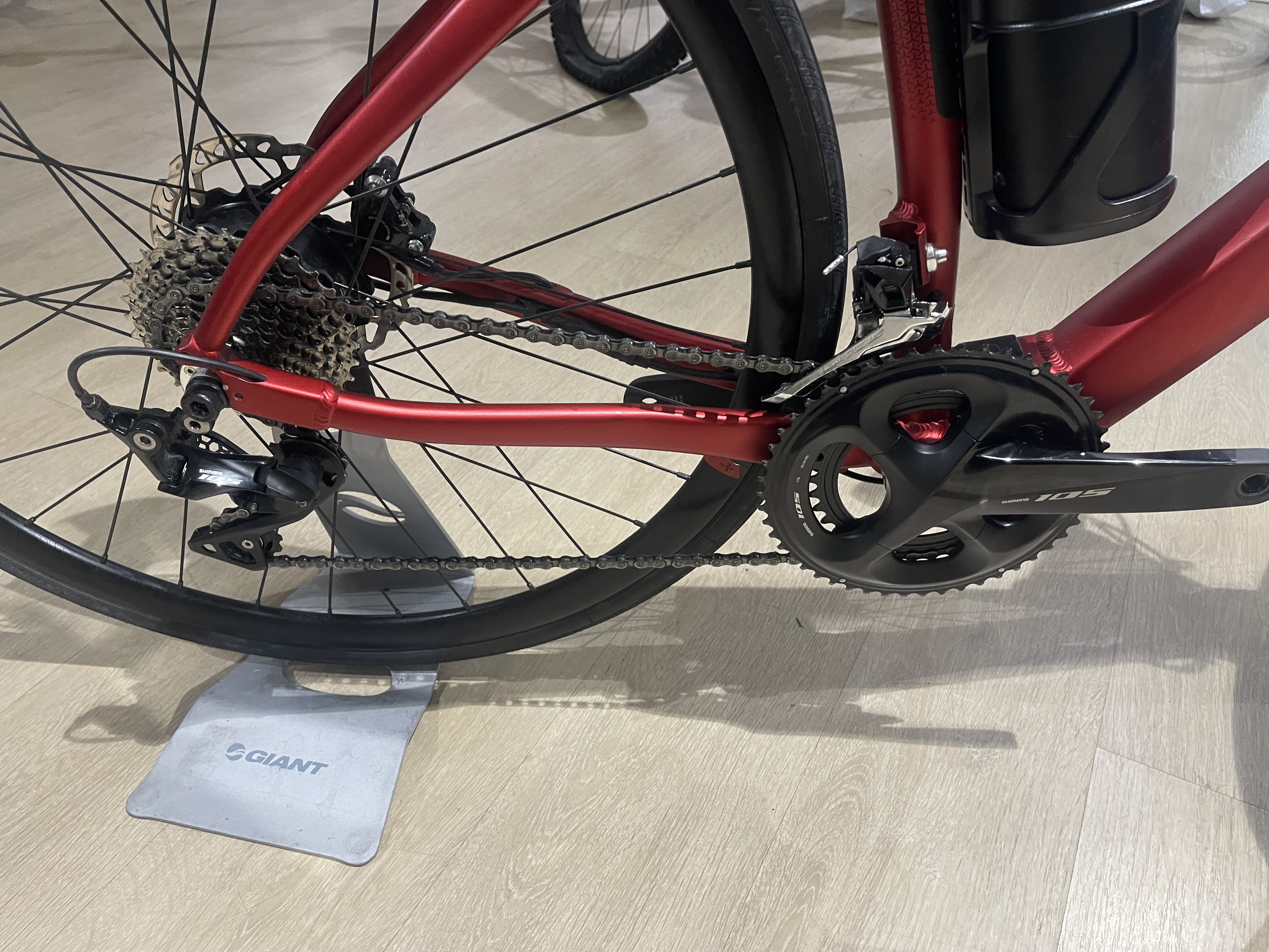 Vae Willier triestina 