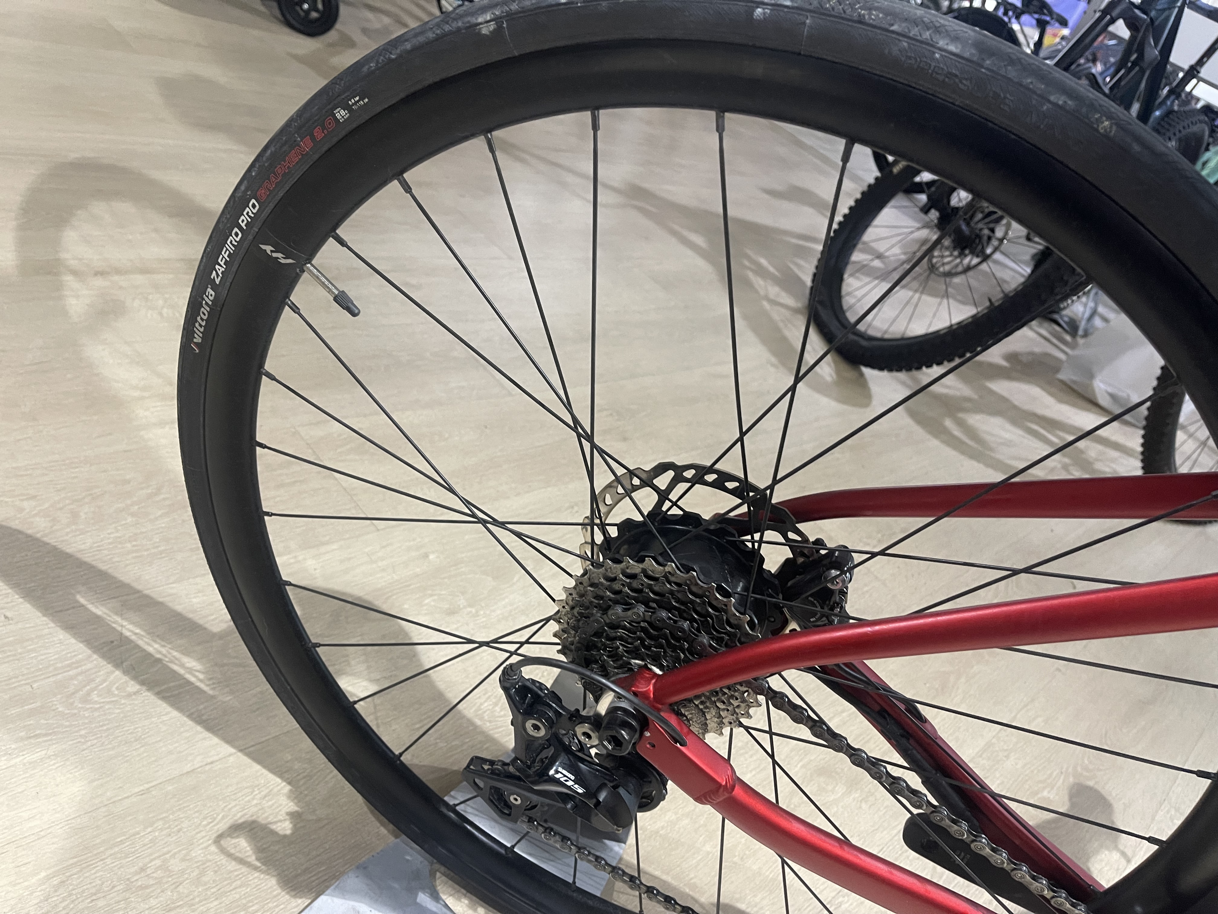 Vae Willier triestina 