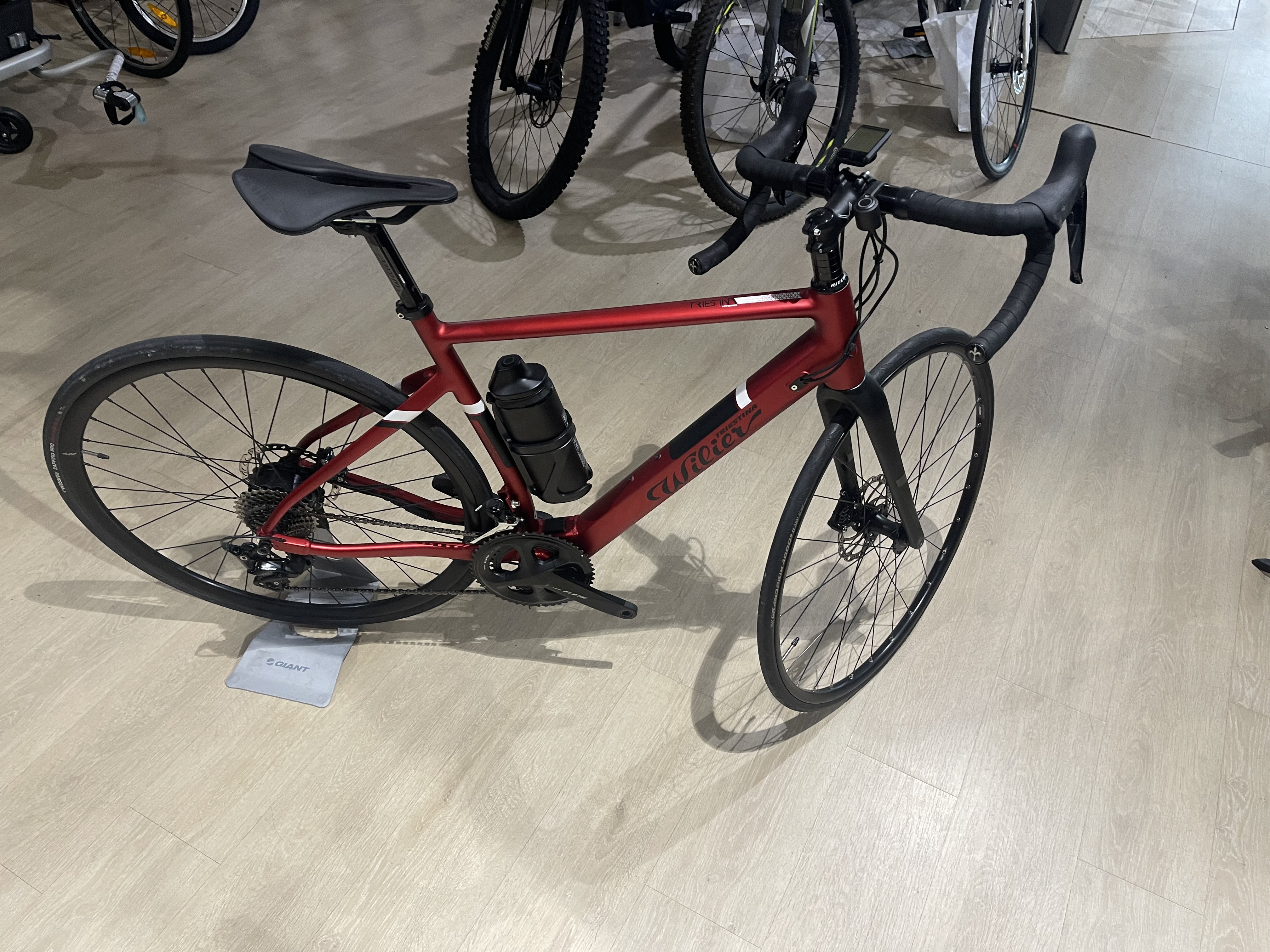 Vae Willier triestina 