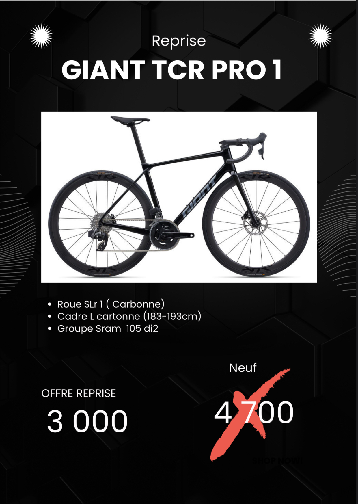 Giant tcr pro 1 
