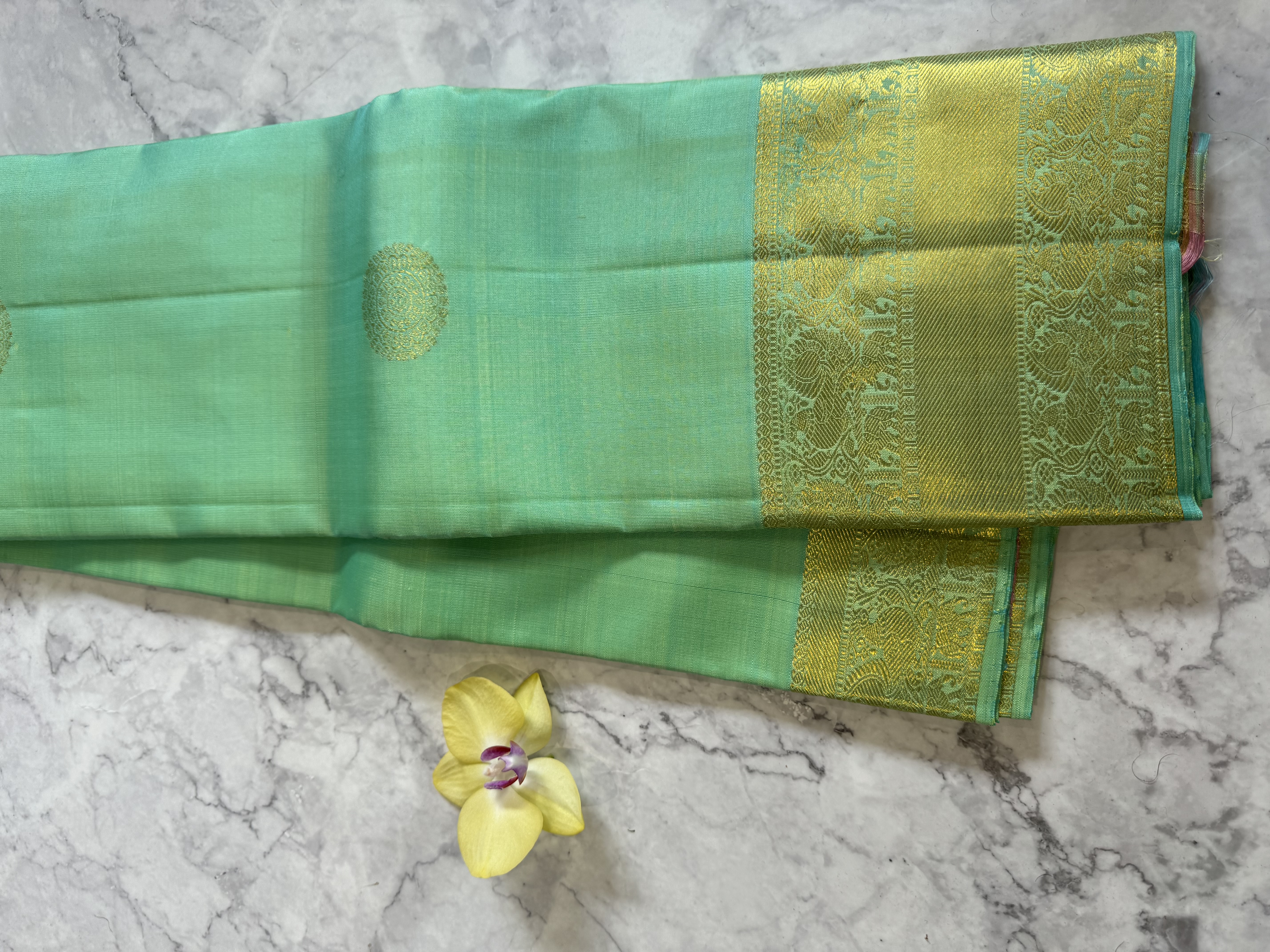 Pastel green Elegant Pure Silk Sarees Collection