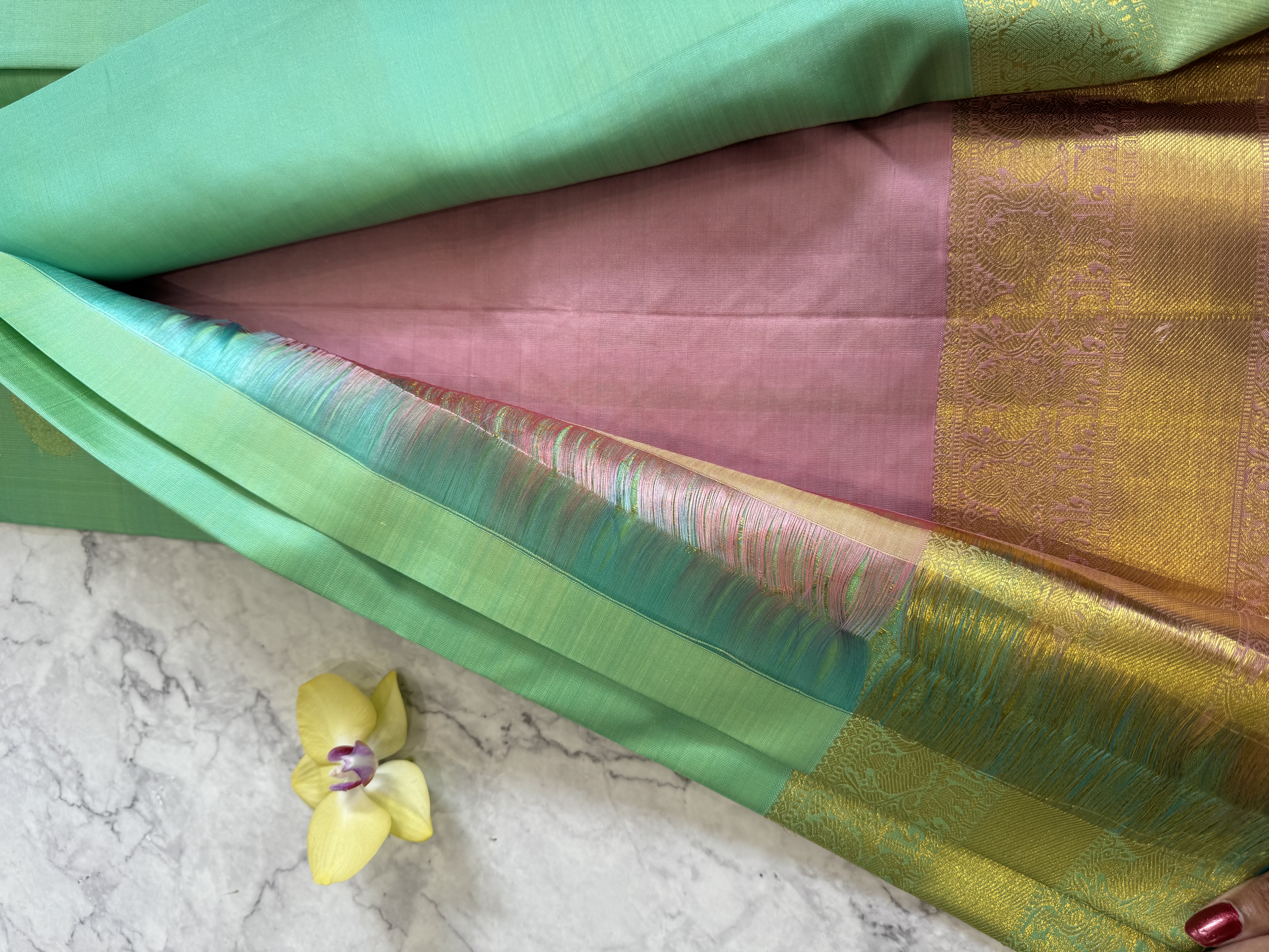 Pastel green Elegant Pure Silk Sarees Collection