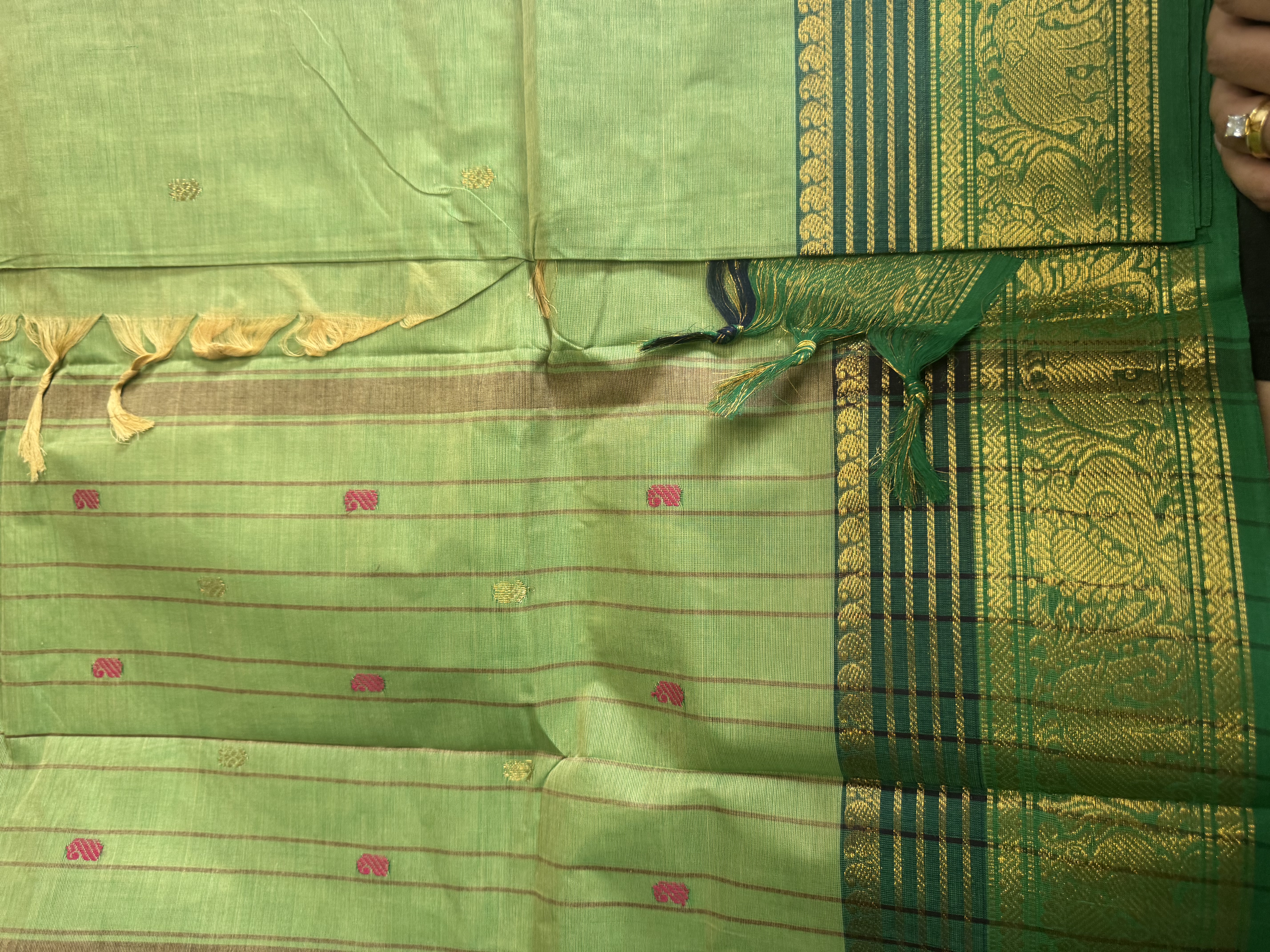 Grass green cotton saree with emerald border