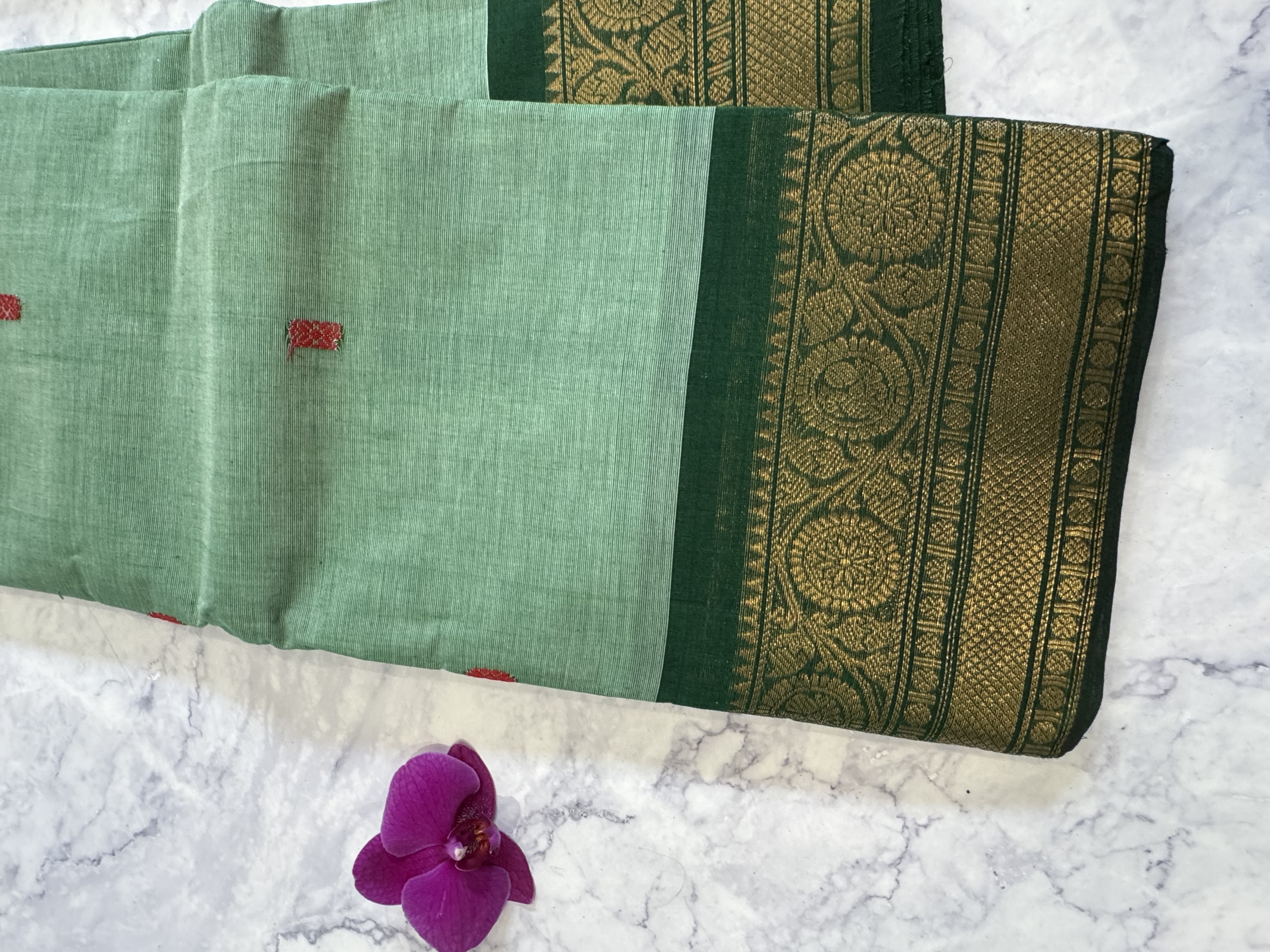 Mint green cotton saree with forest green border