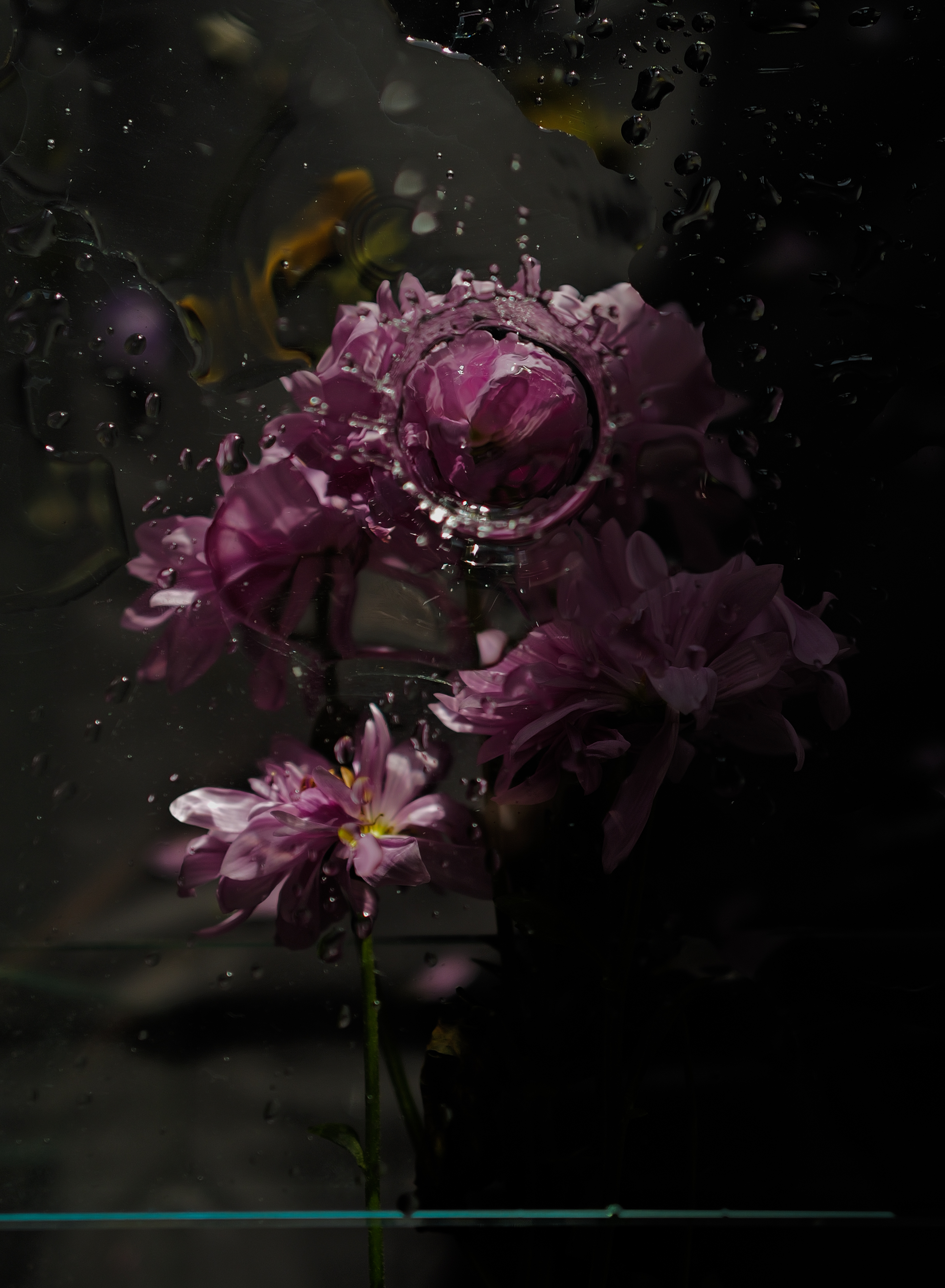 Flower edition print