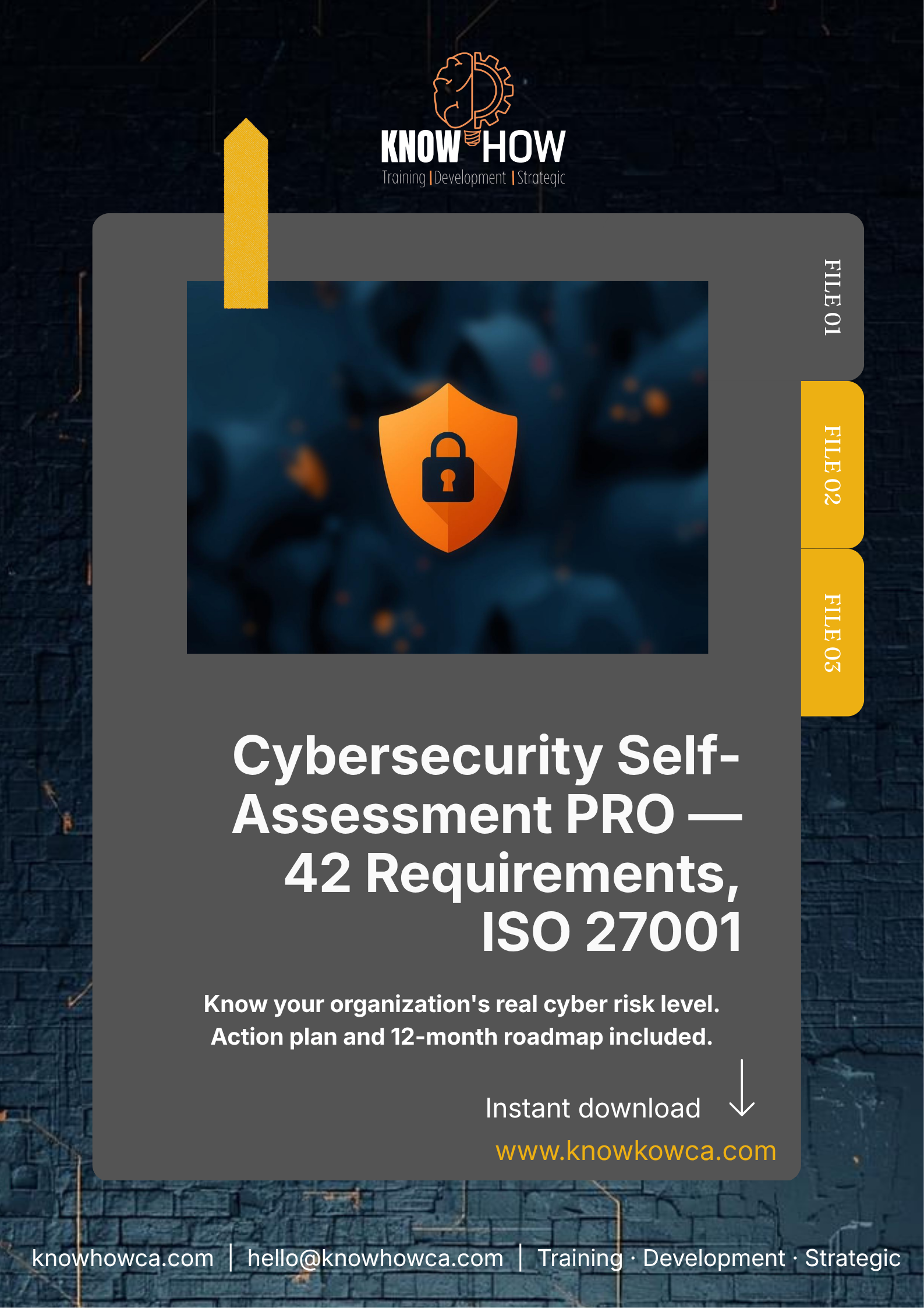 Cybersecurity Self-Assessment PRO — 42 Requirements, ISO 27001