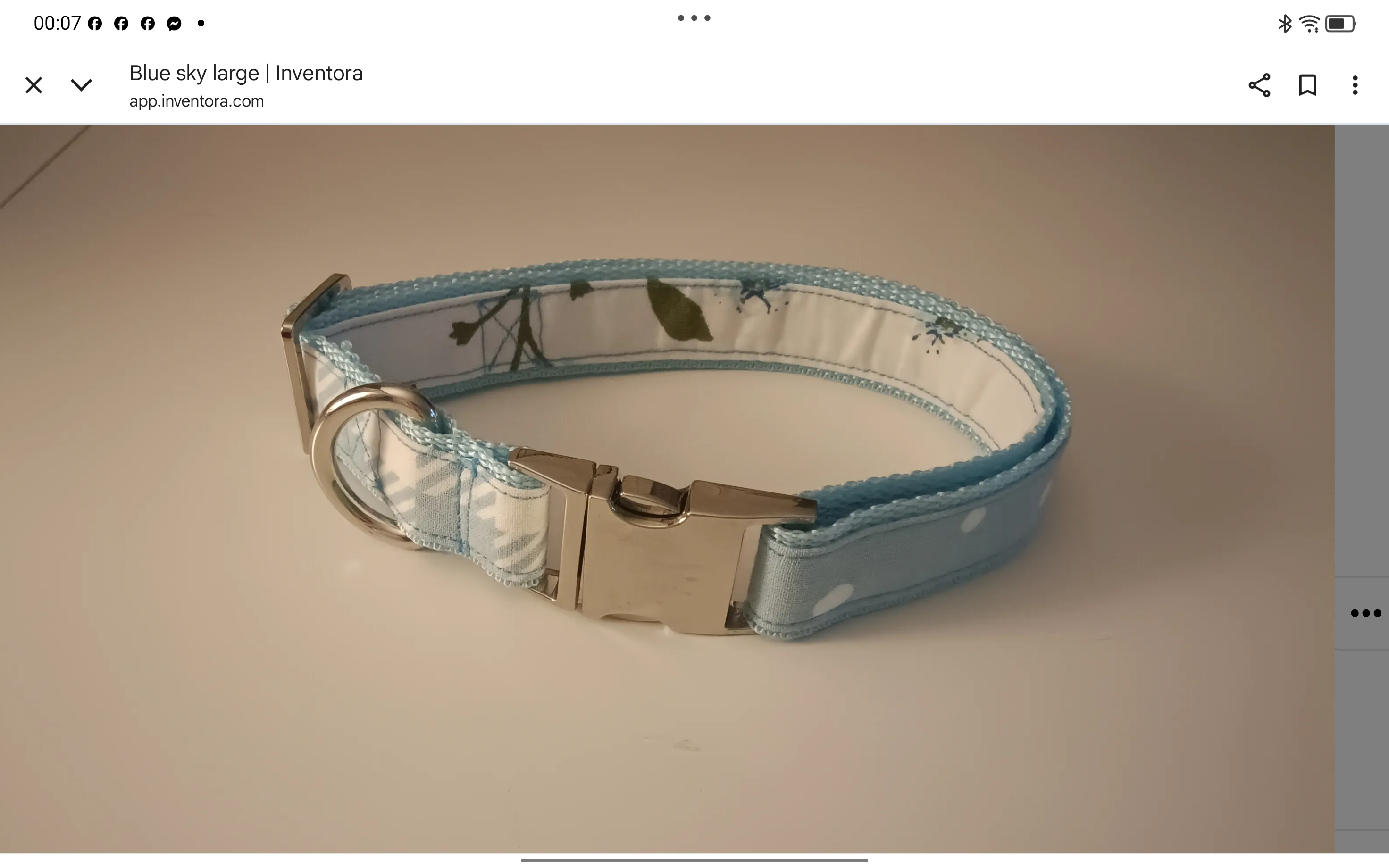 Blue Sky Large Dog Collar