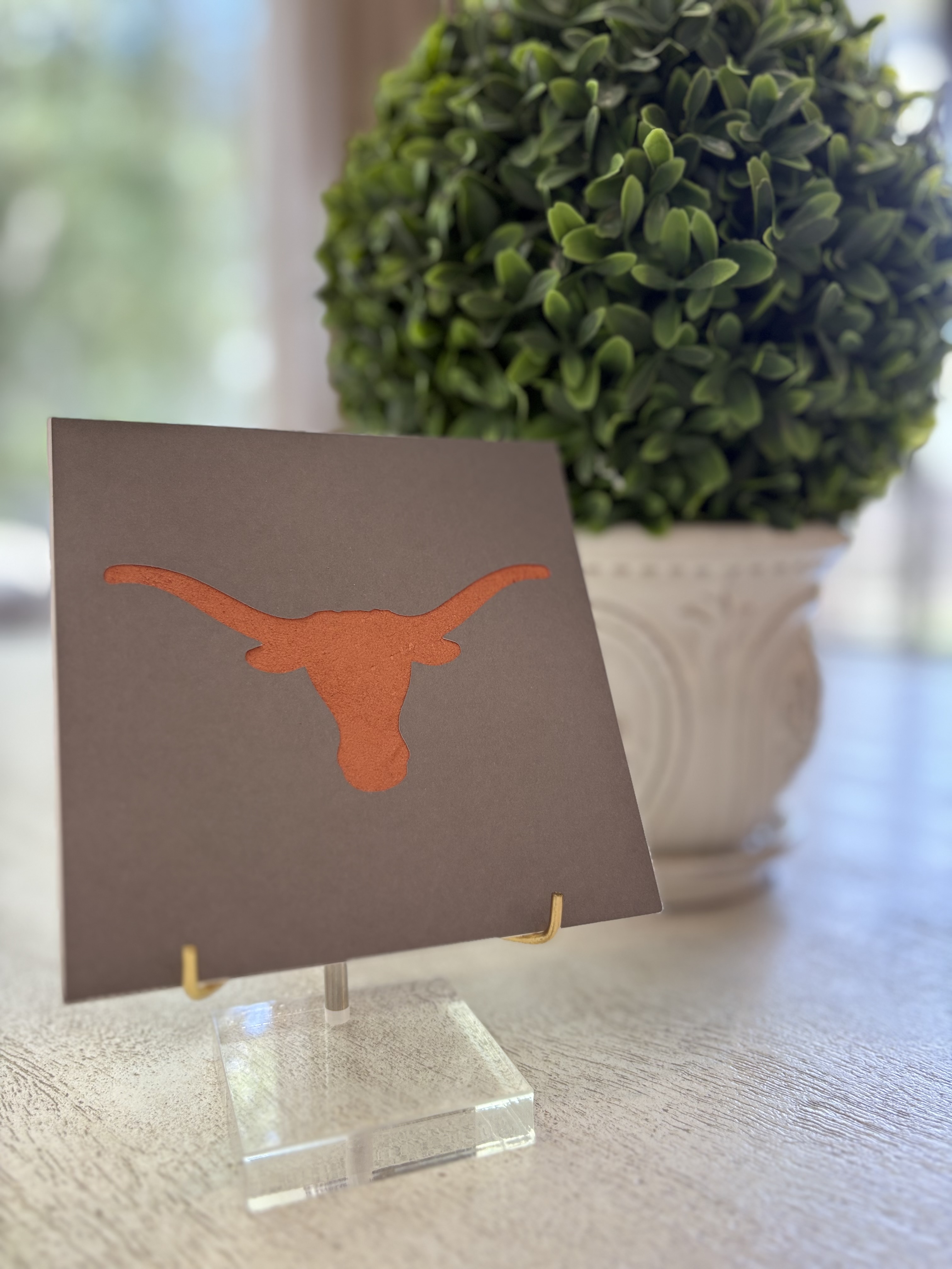 Orange Longhorn