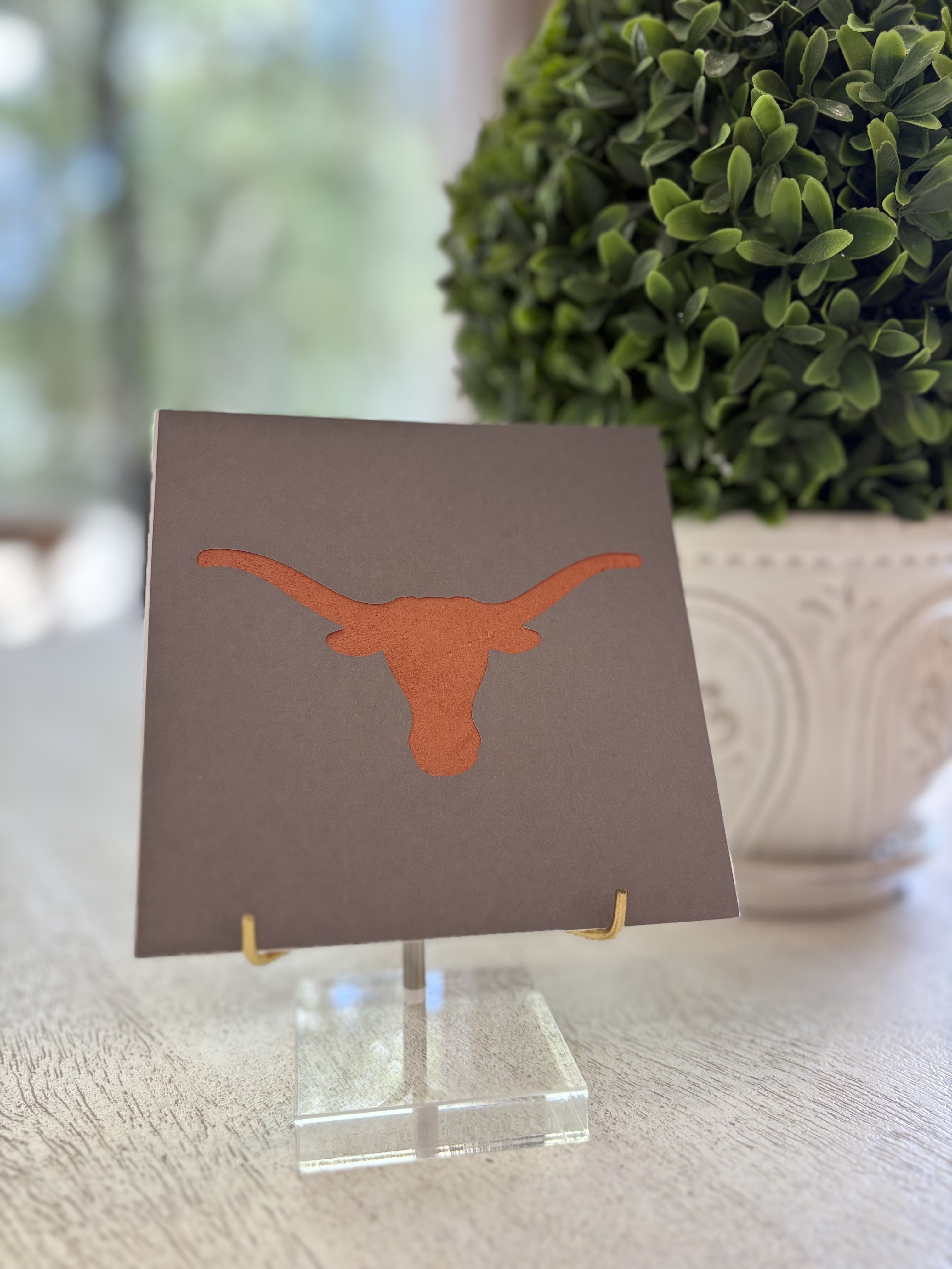 Orange Longhorn