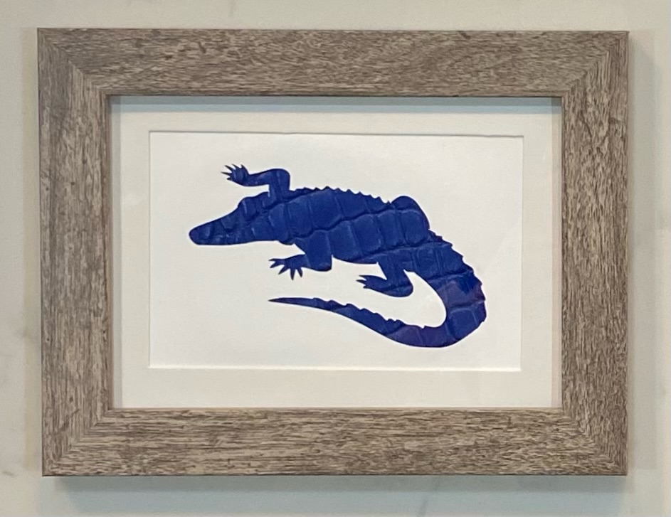 Alligator