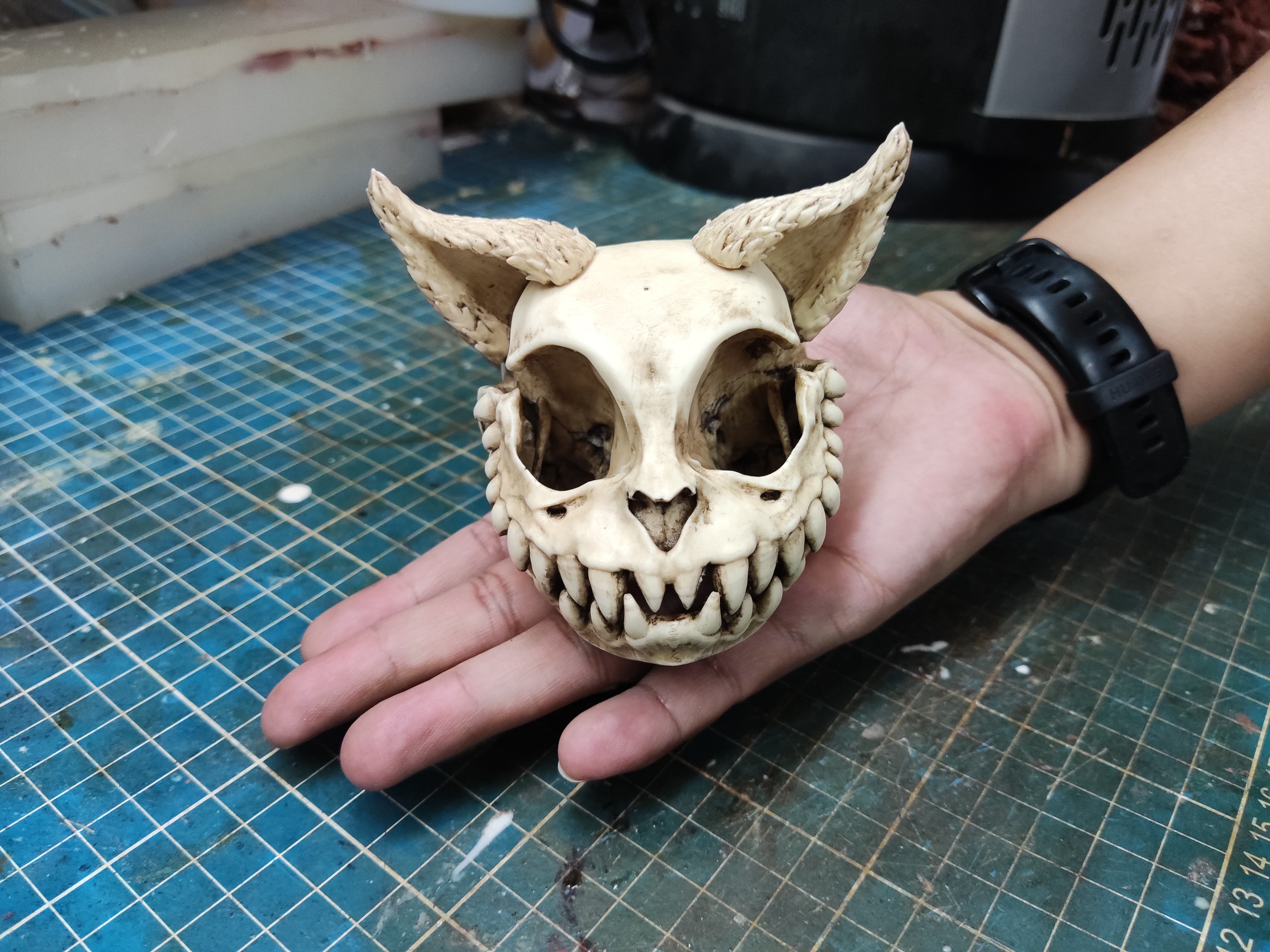 Cheshire Cat Skull "Alice" Alice trough glass,absolom, alice, mad hatter, rabitt hole