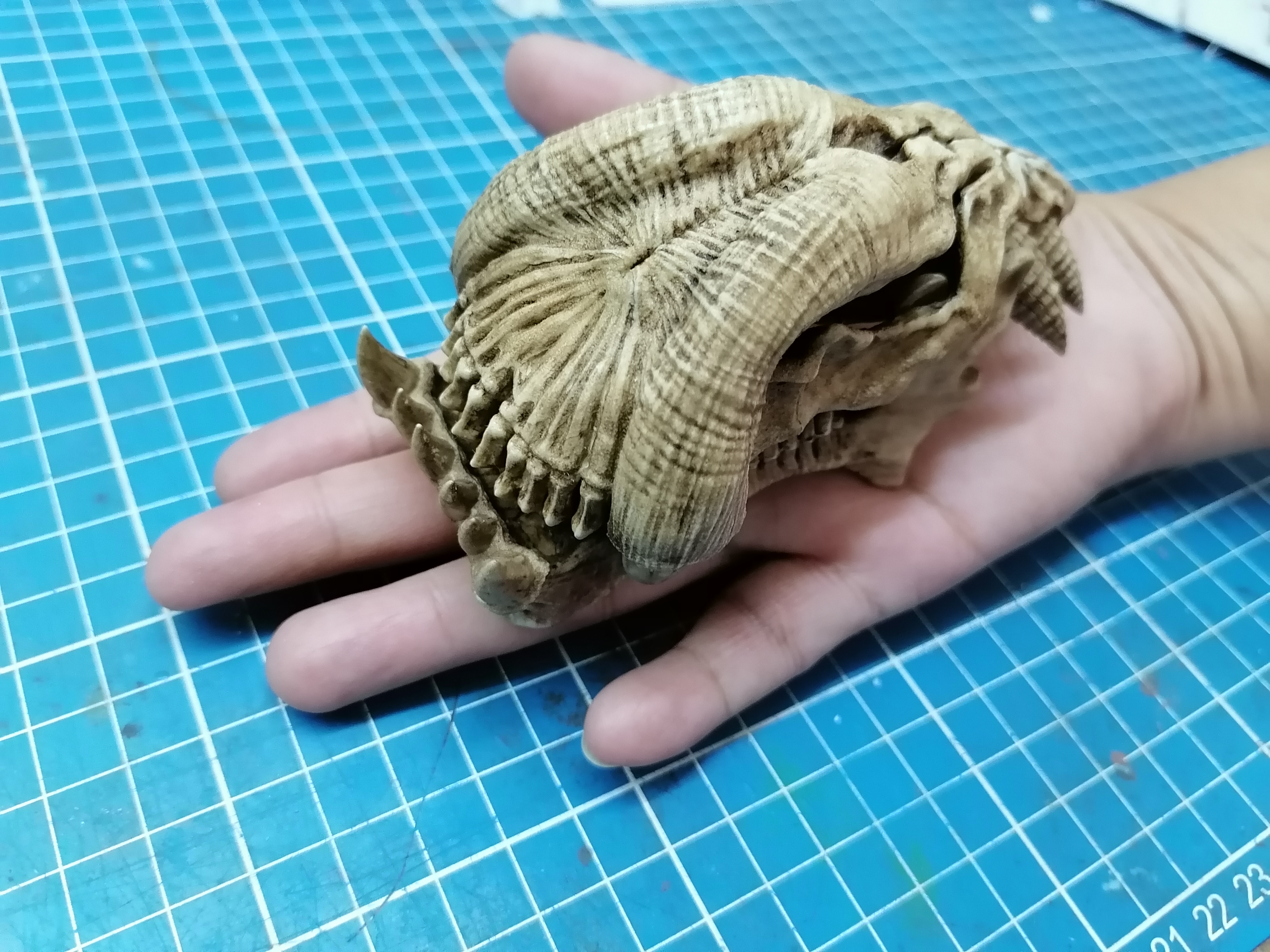 Alien skull "Predator 2" 1/6 scale (Trophy Skull)